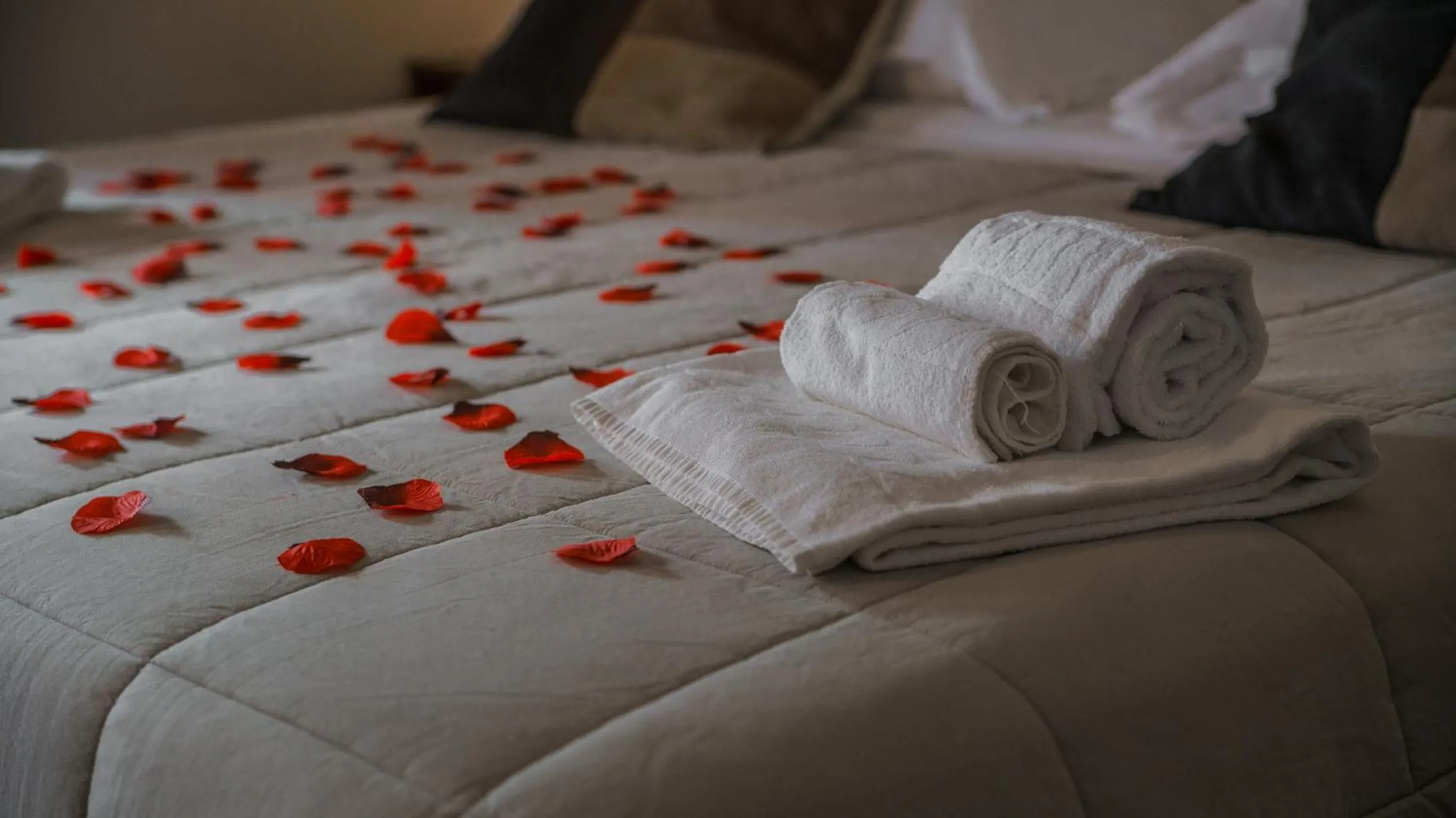 Bed in Residenza Roma Imperiale