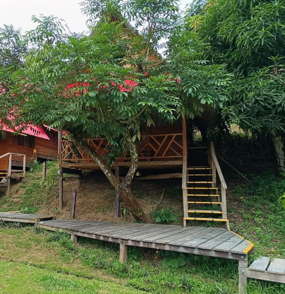 Cottage with Garden View - single occupancy in Eware Refugio Amazonico Cottage with Garden View - single occupancy in Eware Refugio Amazonico