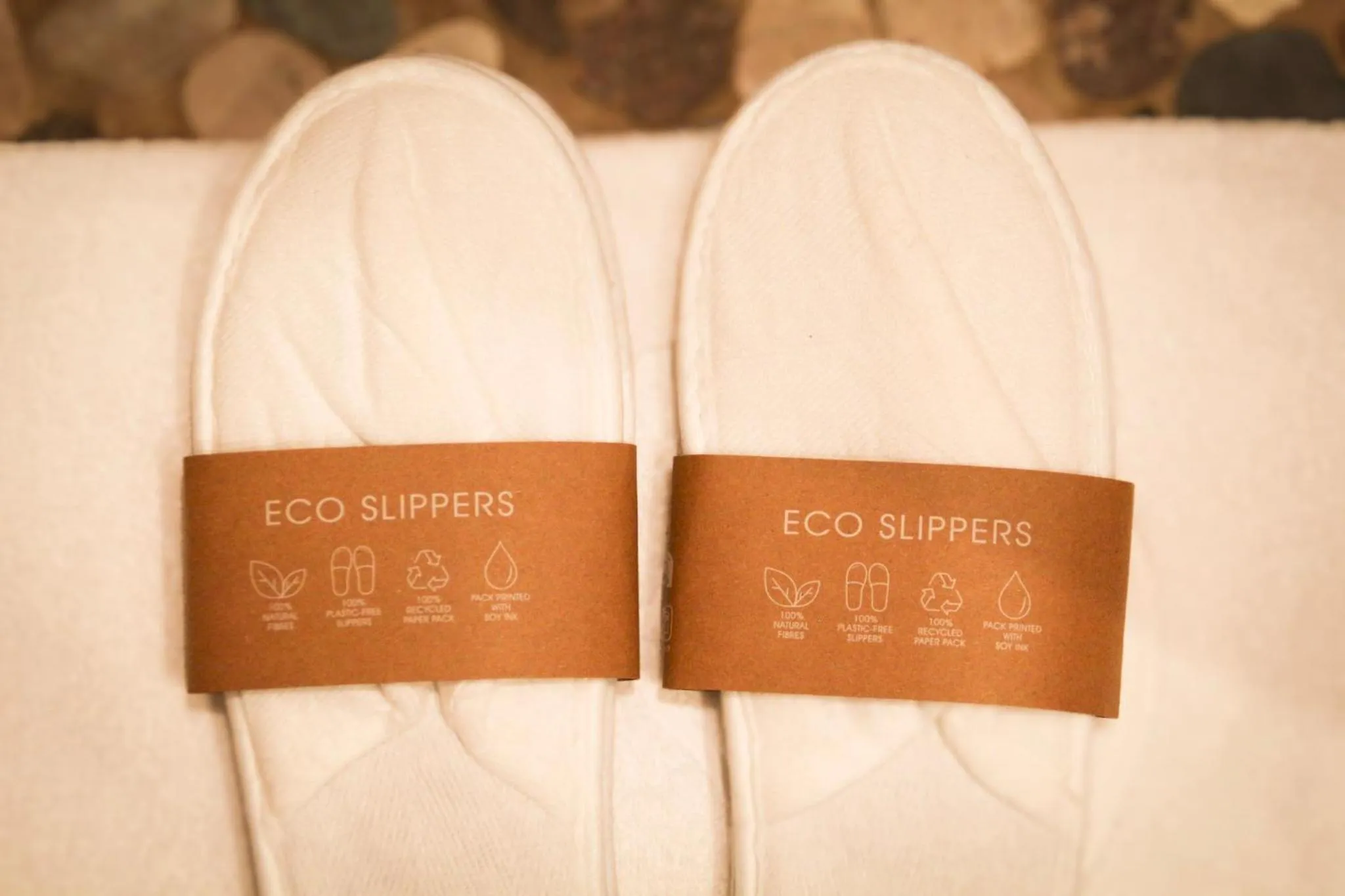 Certificate/Award in Hôtel La Riviera Victoria