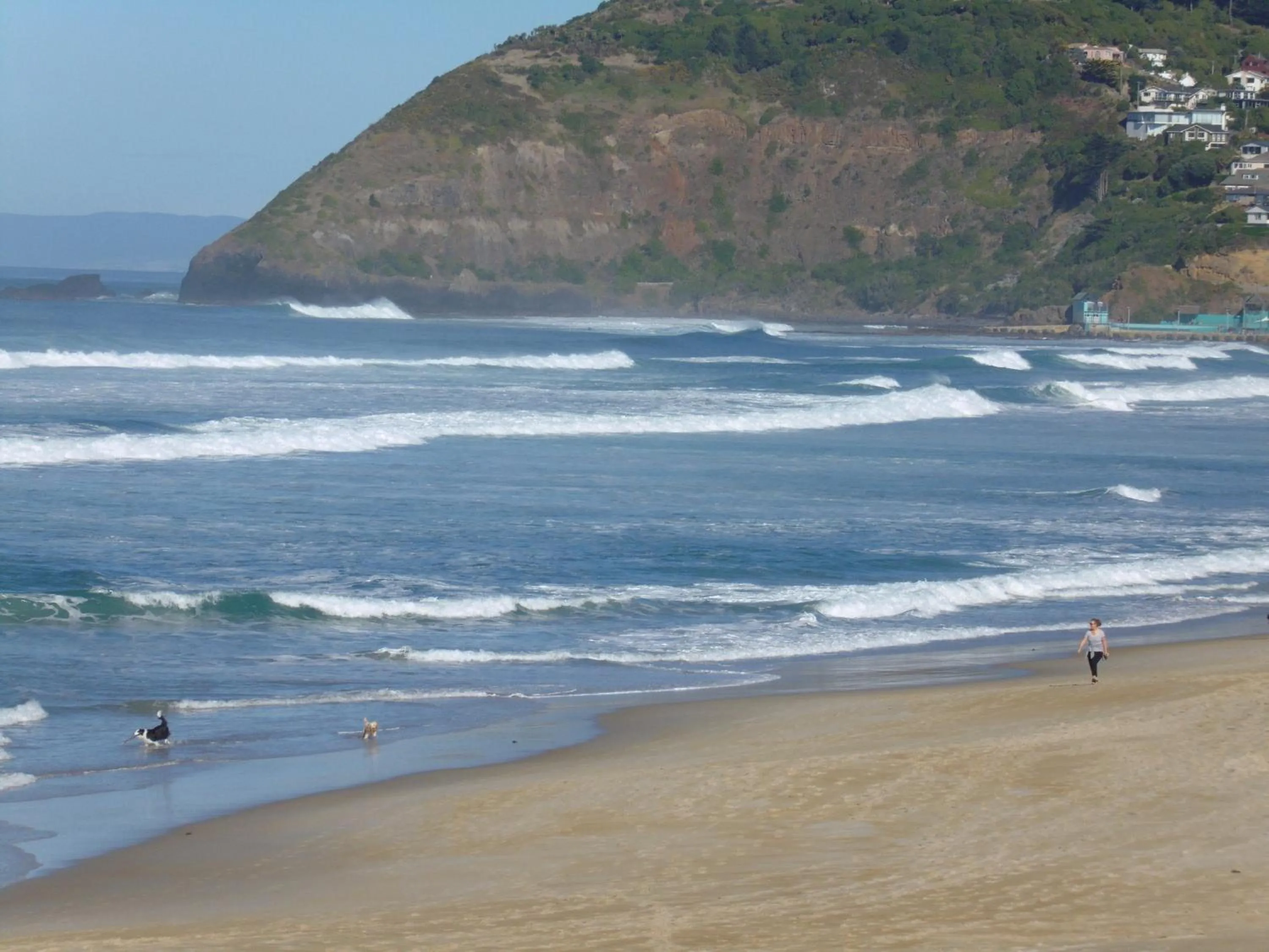 Beach in Rosemount B&B by the Sea St Clair