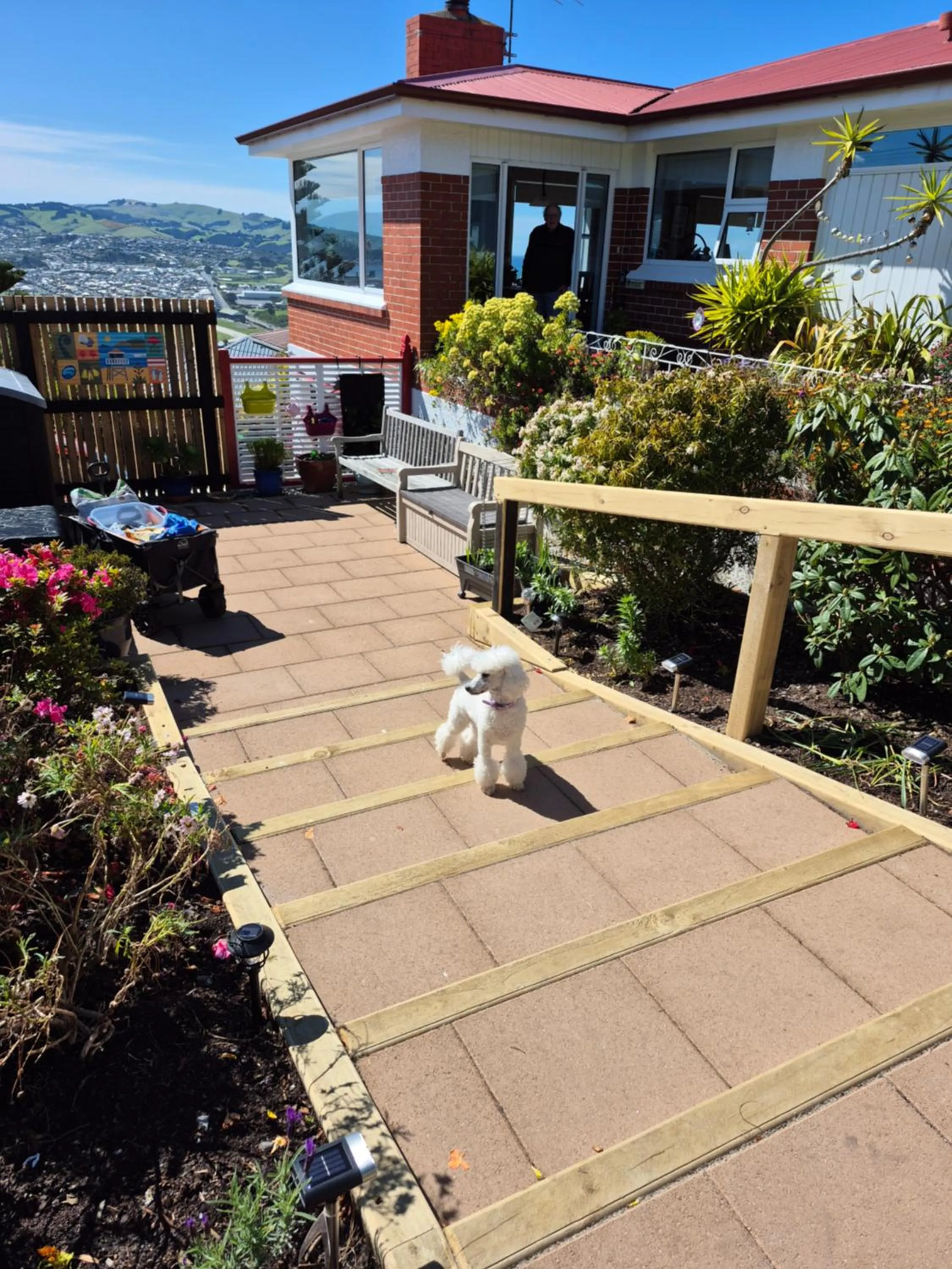 Garden in Rosemount B&B by the Sea St Clair