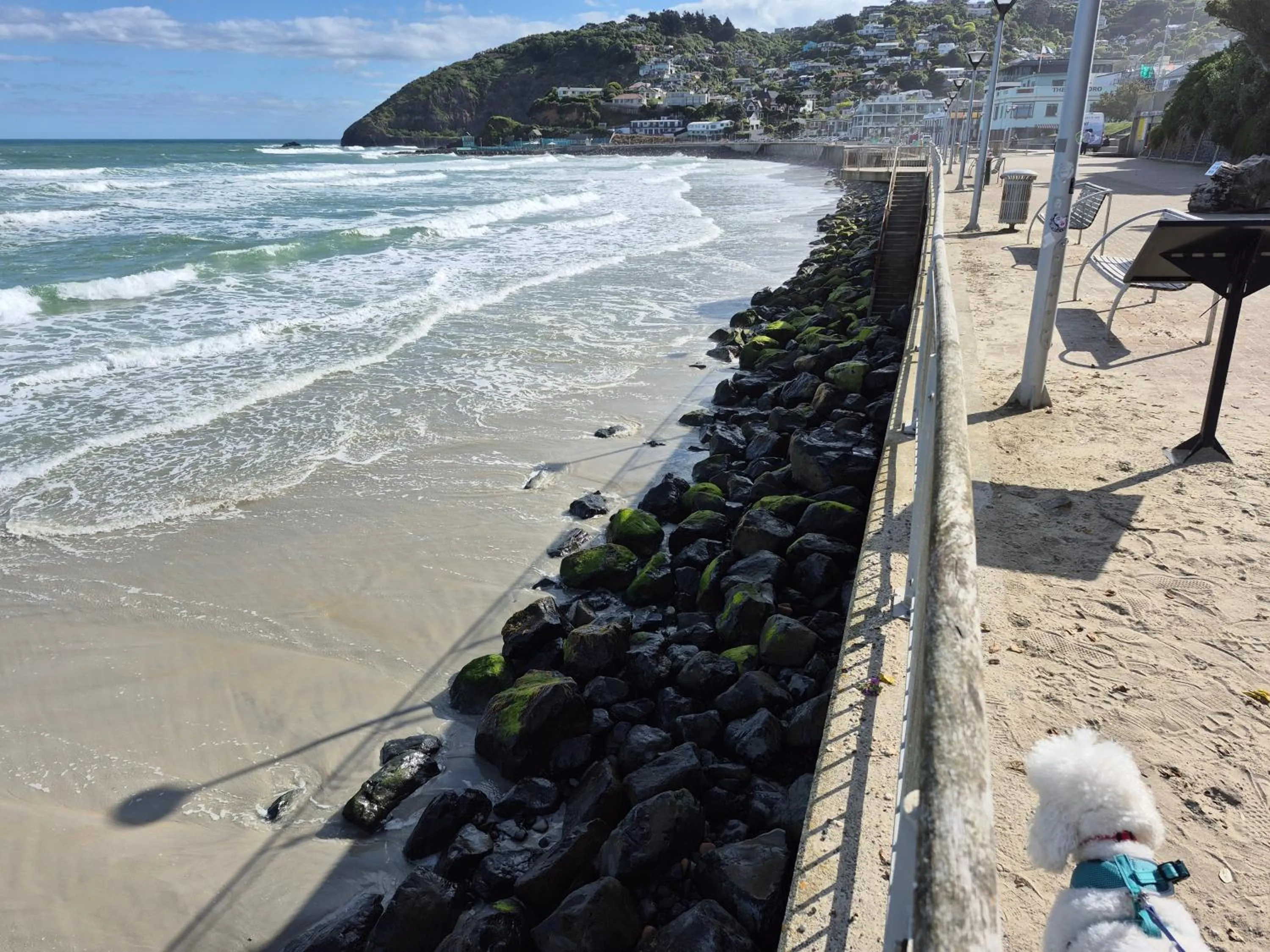 Beach in Rosemount B&B by the Sea St Clair