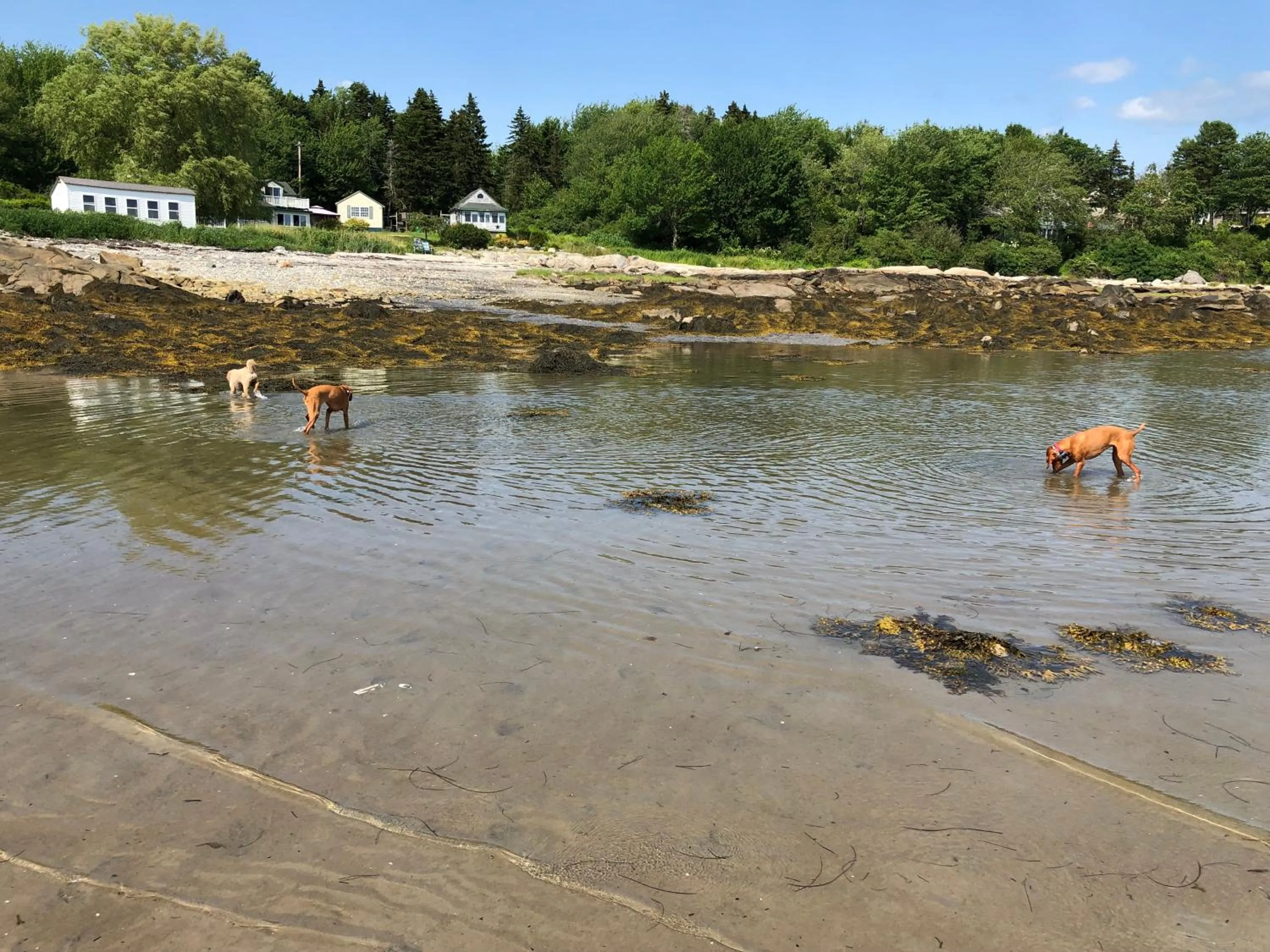 Beach in The Craignair Inn & Causeway Restaurant