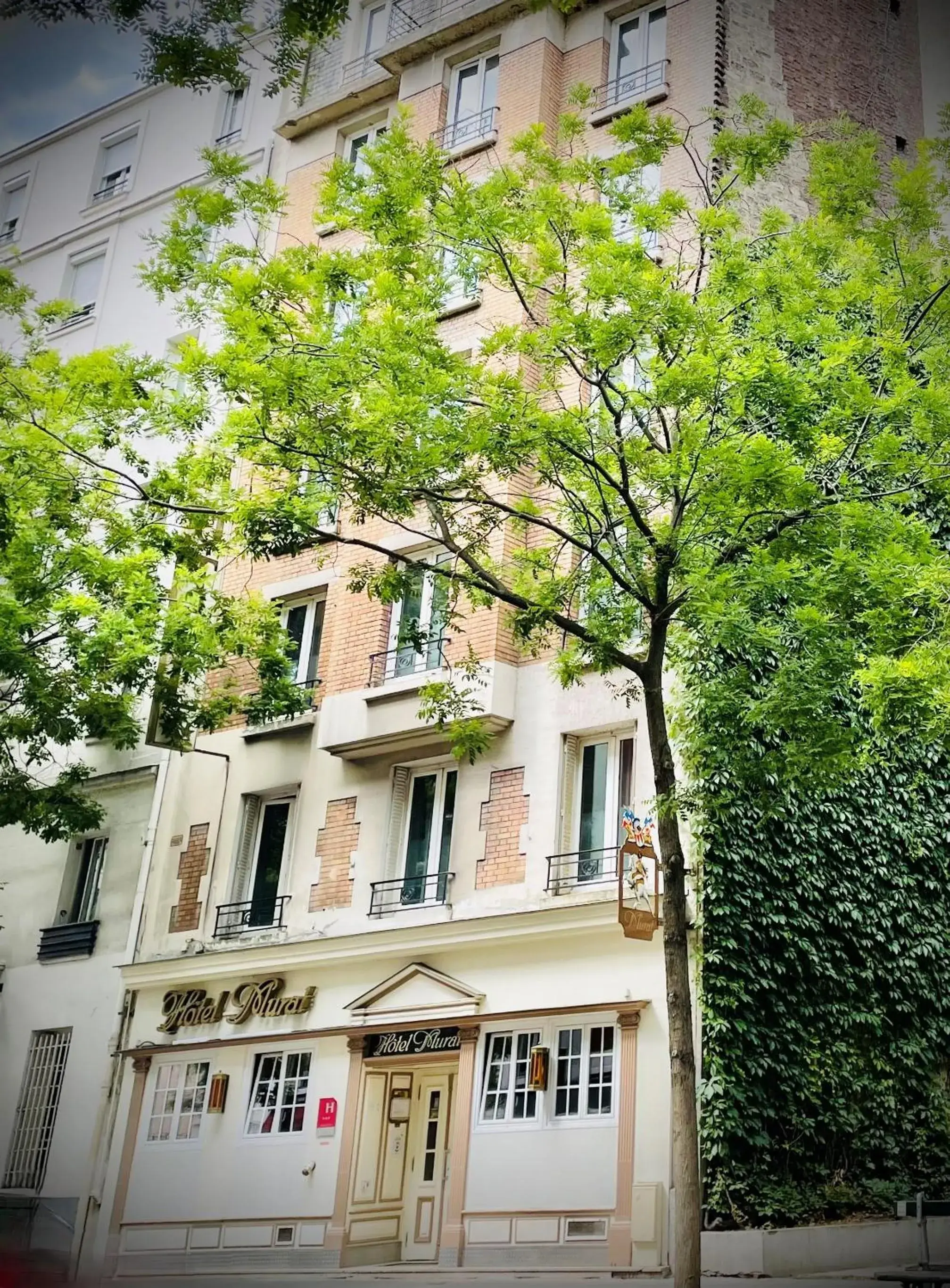 Property building in Murat Property building in Murat