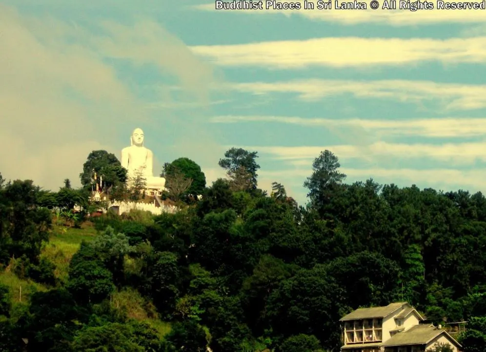 Apple Sara Home Stay