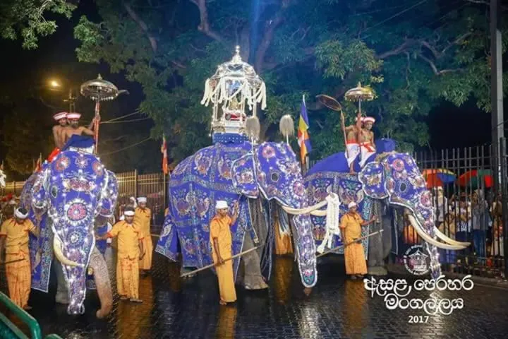 Apple Sara Home Stay