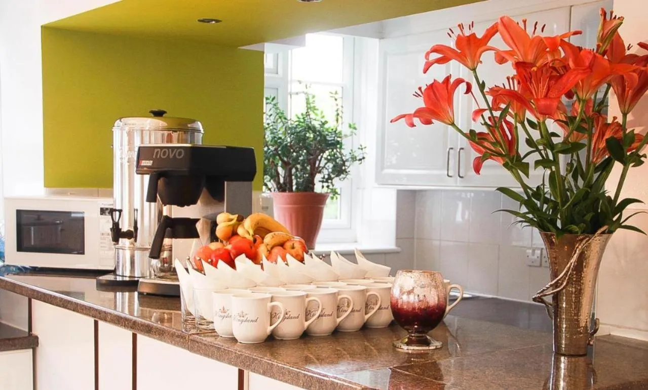 Kitchen or kitchenette in Kingsland Hotel