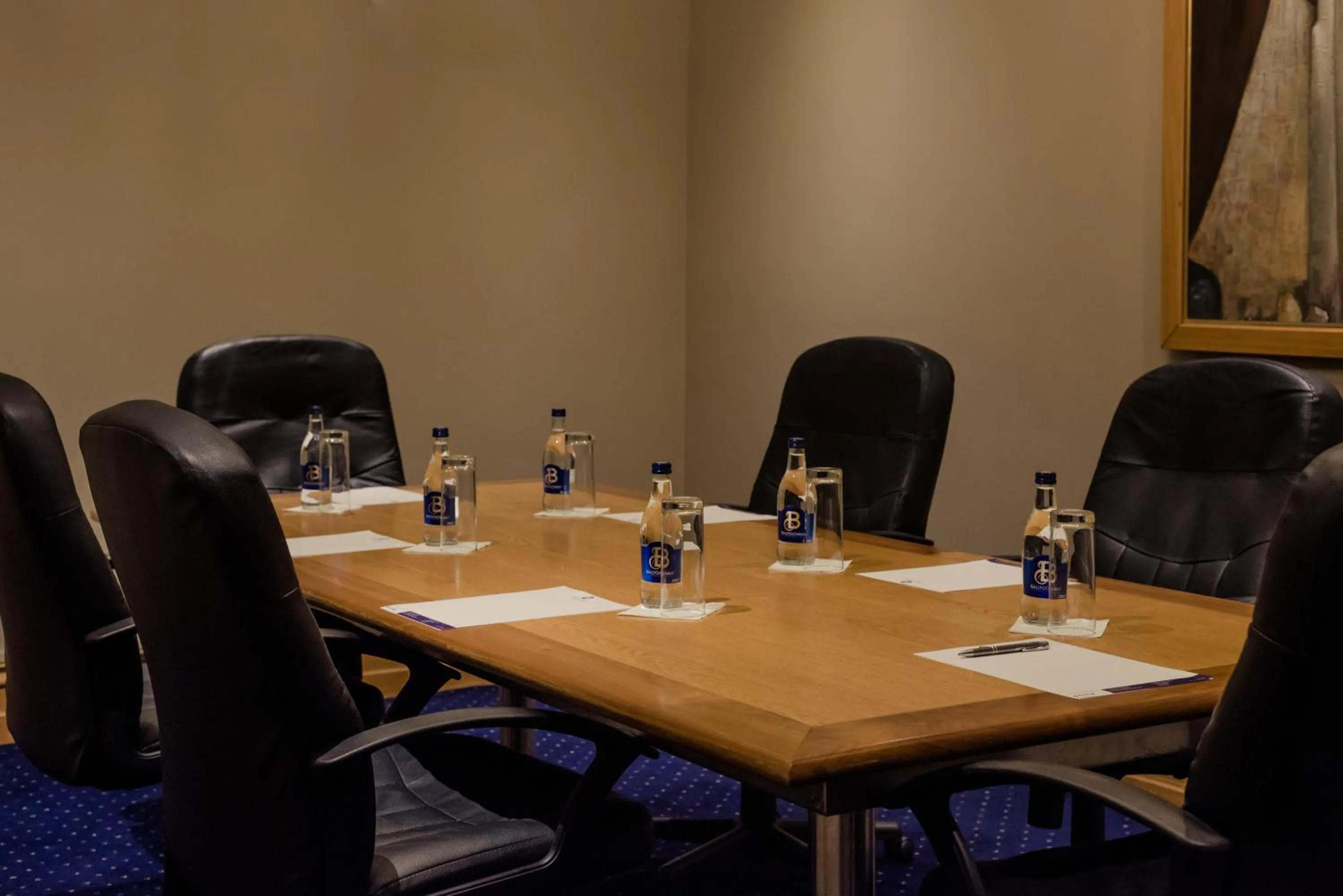 Meeting/conference room in Rochestown Lodge Hotel
