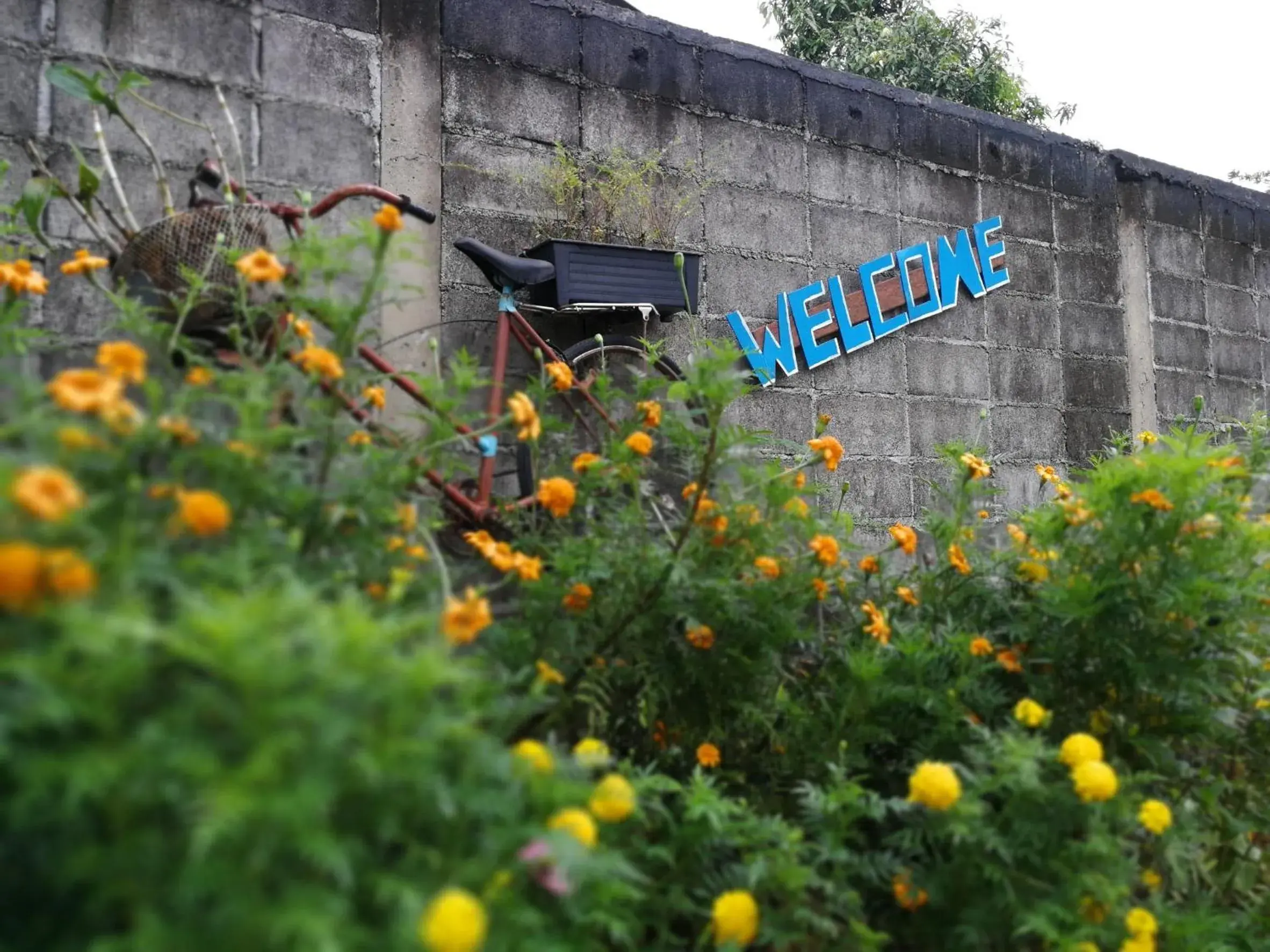 Property building in Baansuan Resort Property building in Baansuan Resort