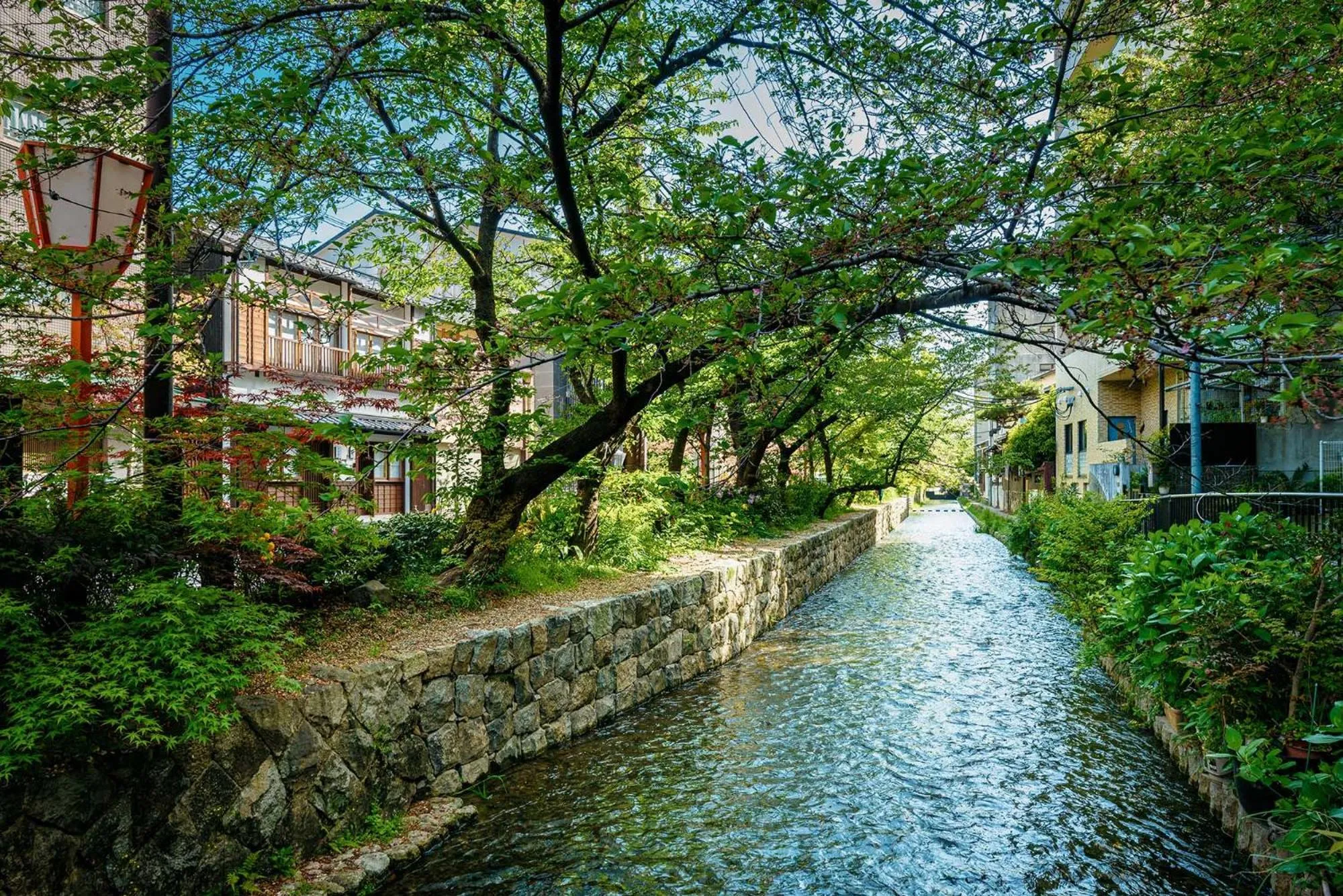Property building in Hanagoromo Machiya House