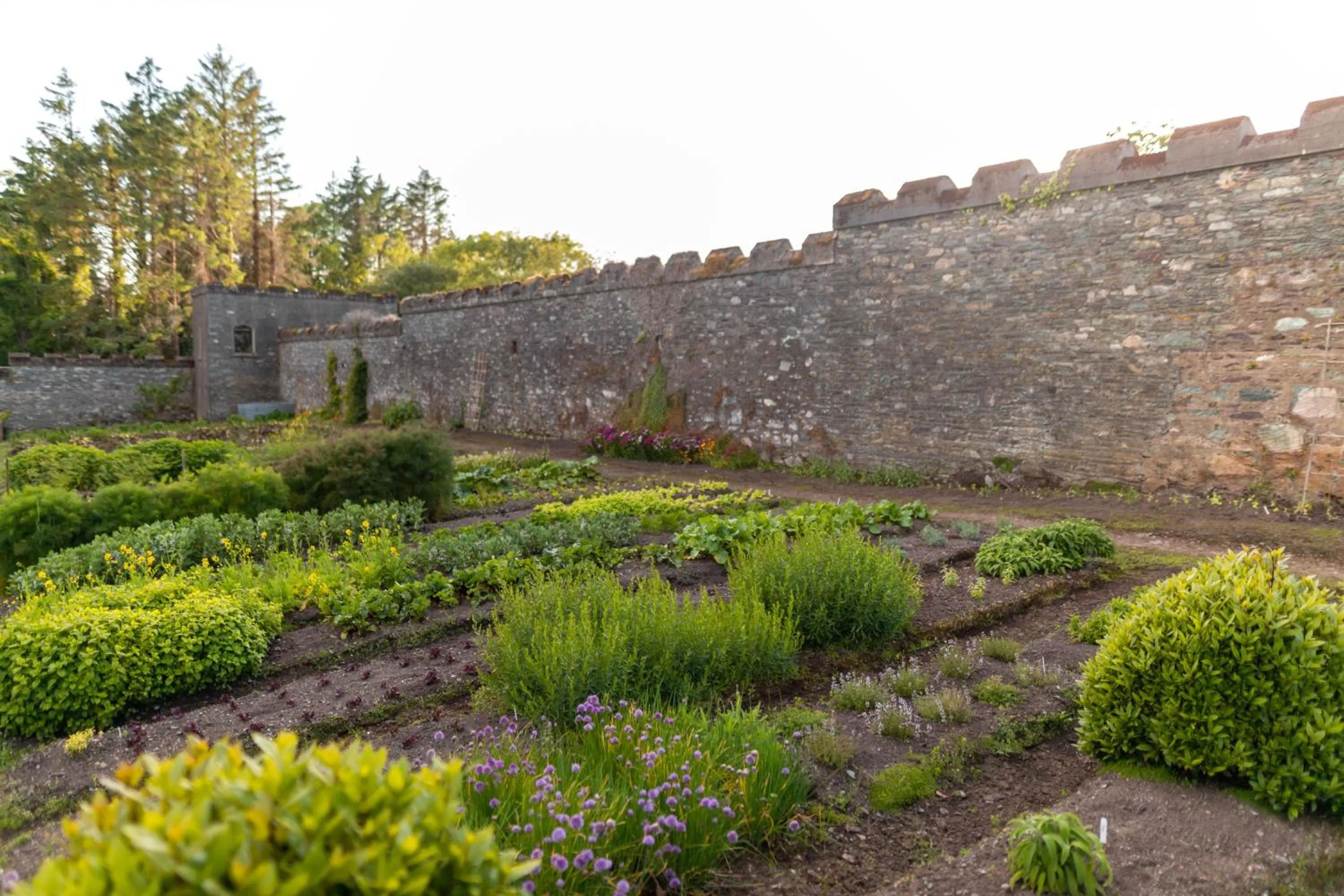 Day in Parknasilla Resort & Spa