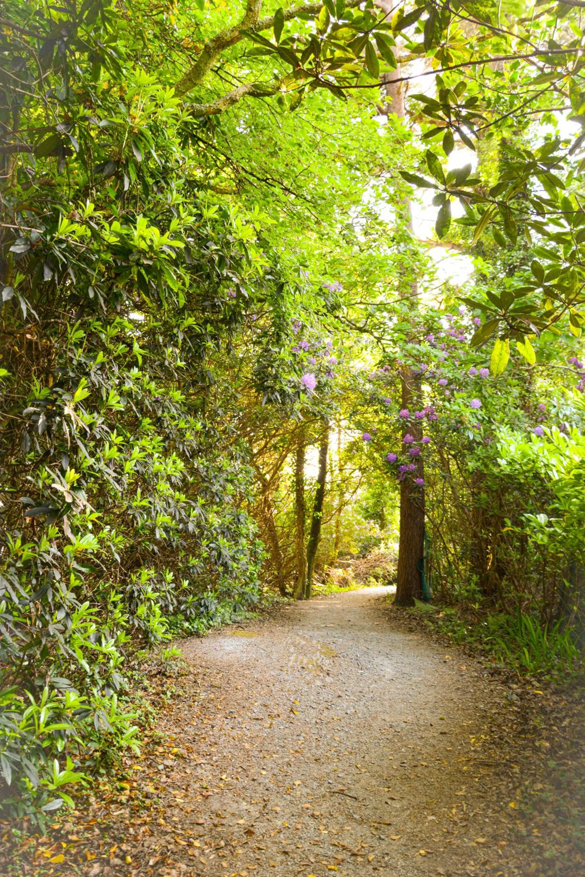 Day in Parknasilla Resort & Spa