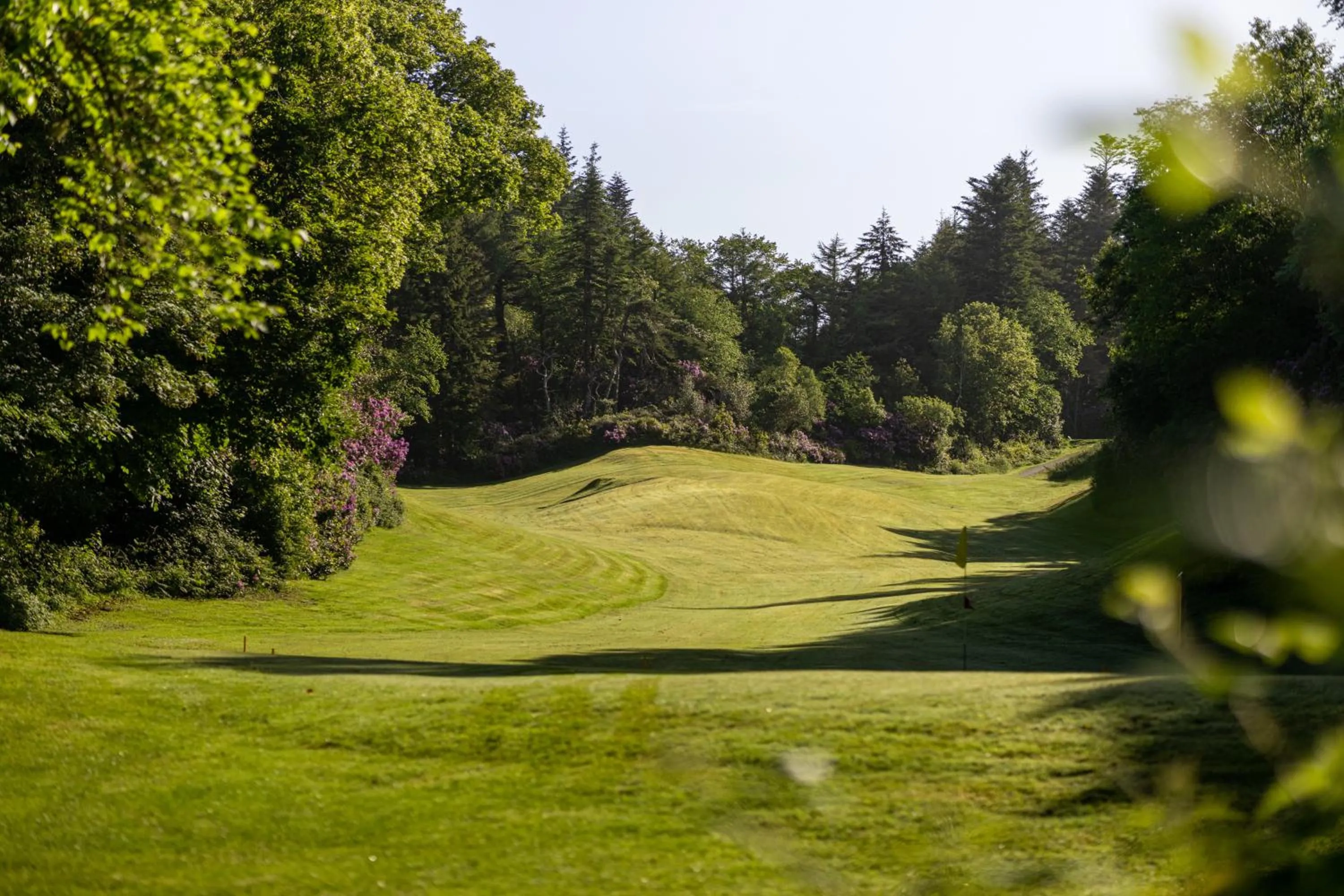 Natural landscape in Parknasilla Resort & Spa