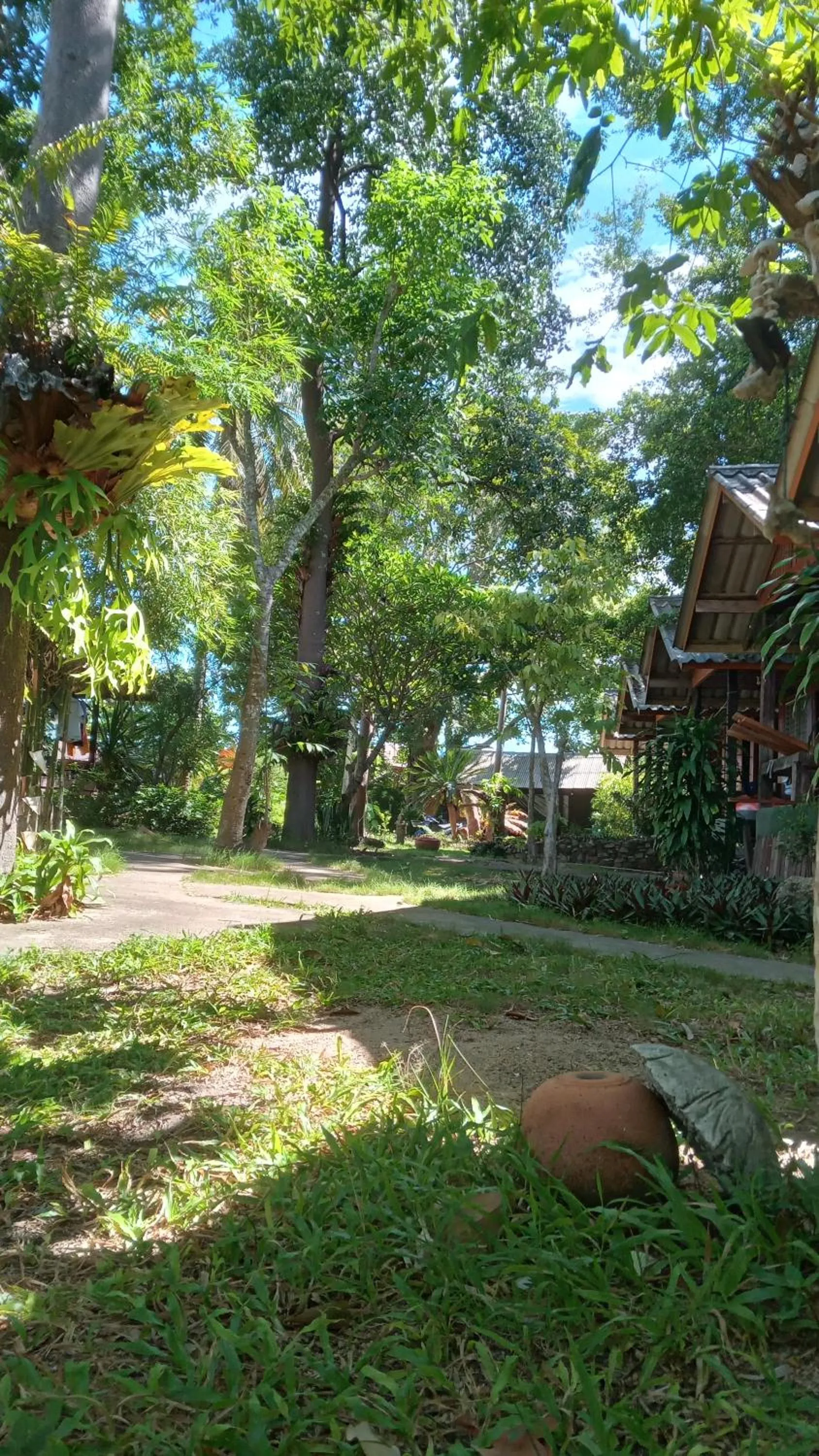 Bamboo Bungalow - Thong Nai Pan Yai