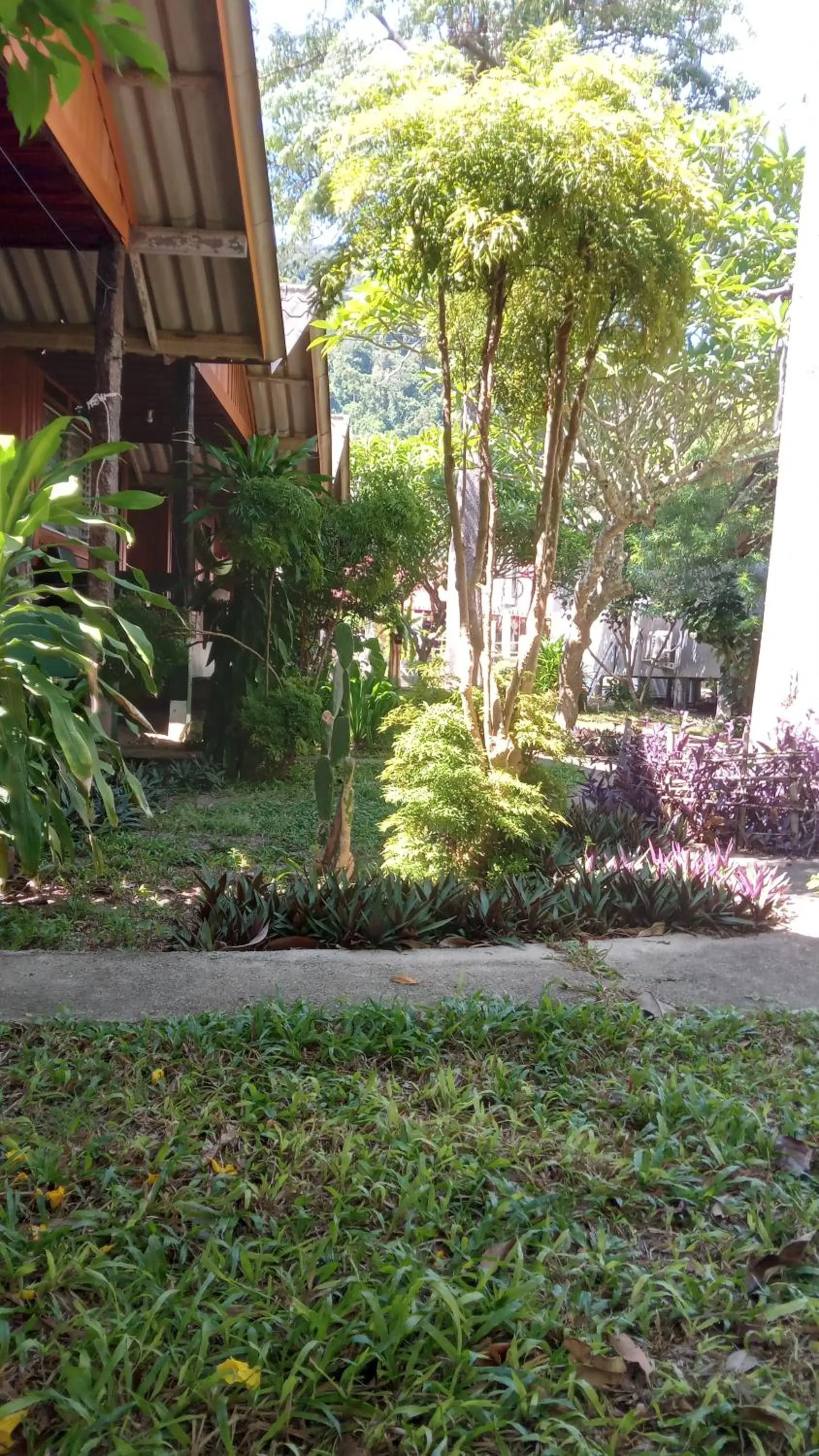 Bamboo Bungalow - Thong Nai Pan Yai