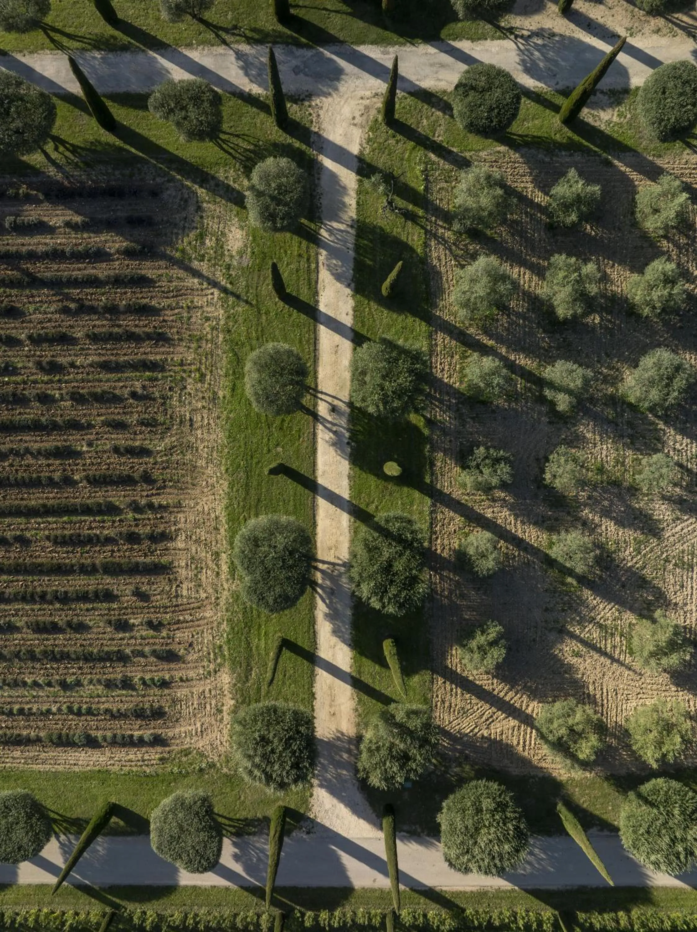 Day in Domaine des Andéols