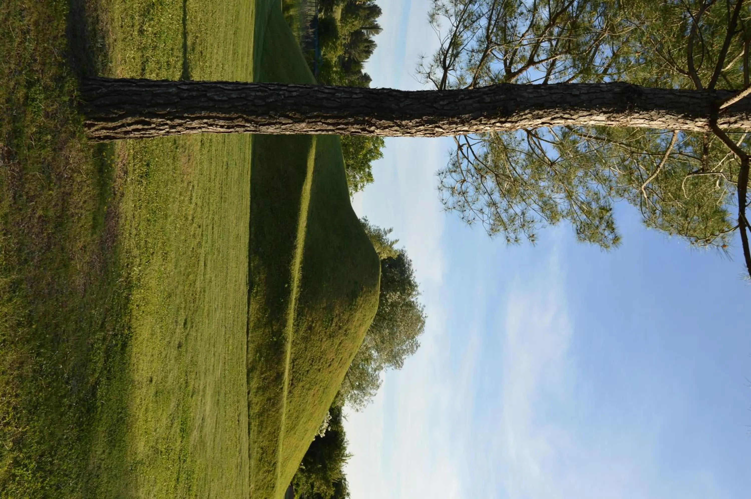 Spring in Domaine des Andéols