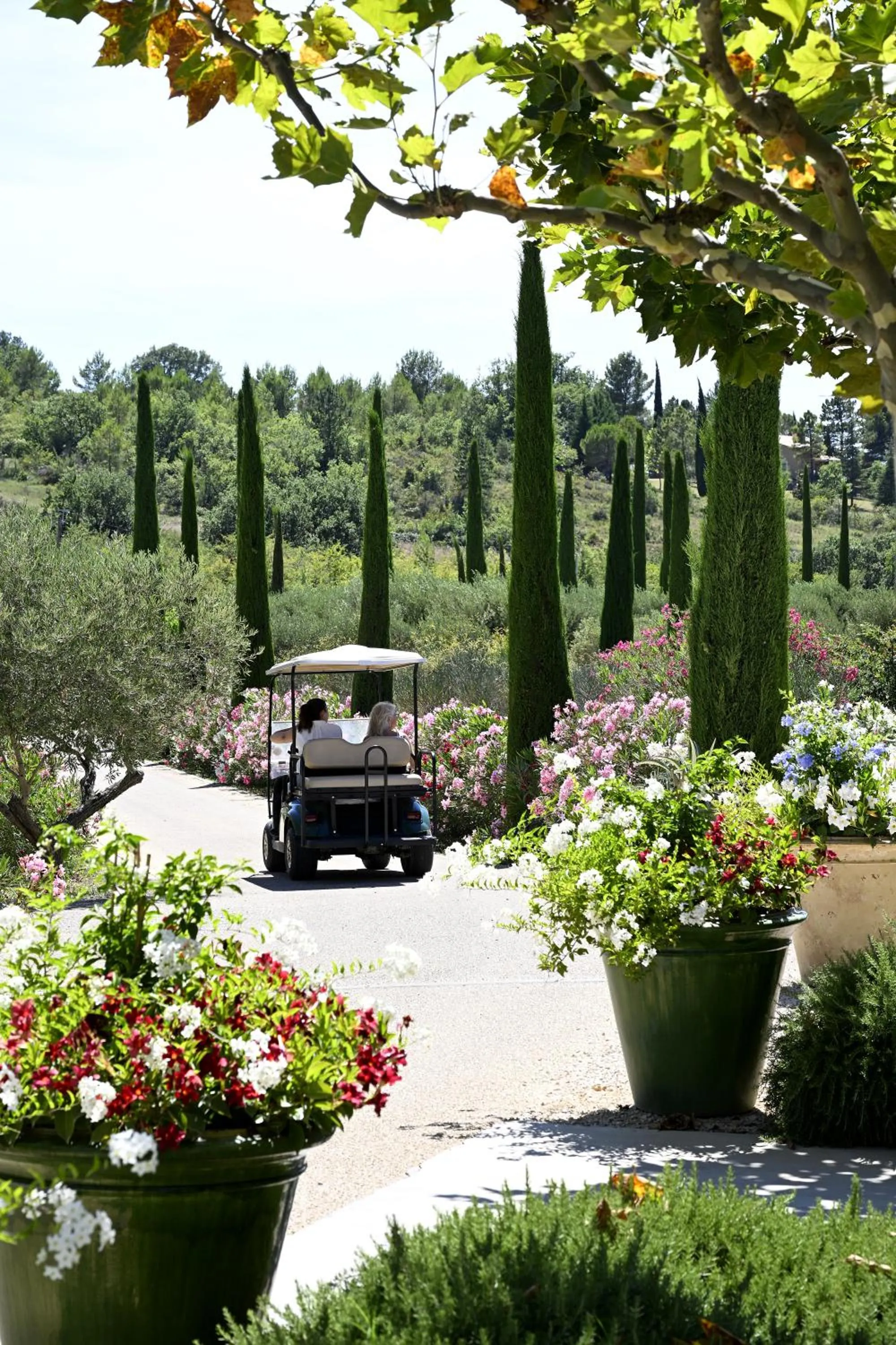 Natural landscape in Domaine des Andéols