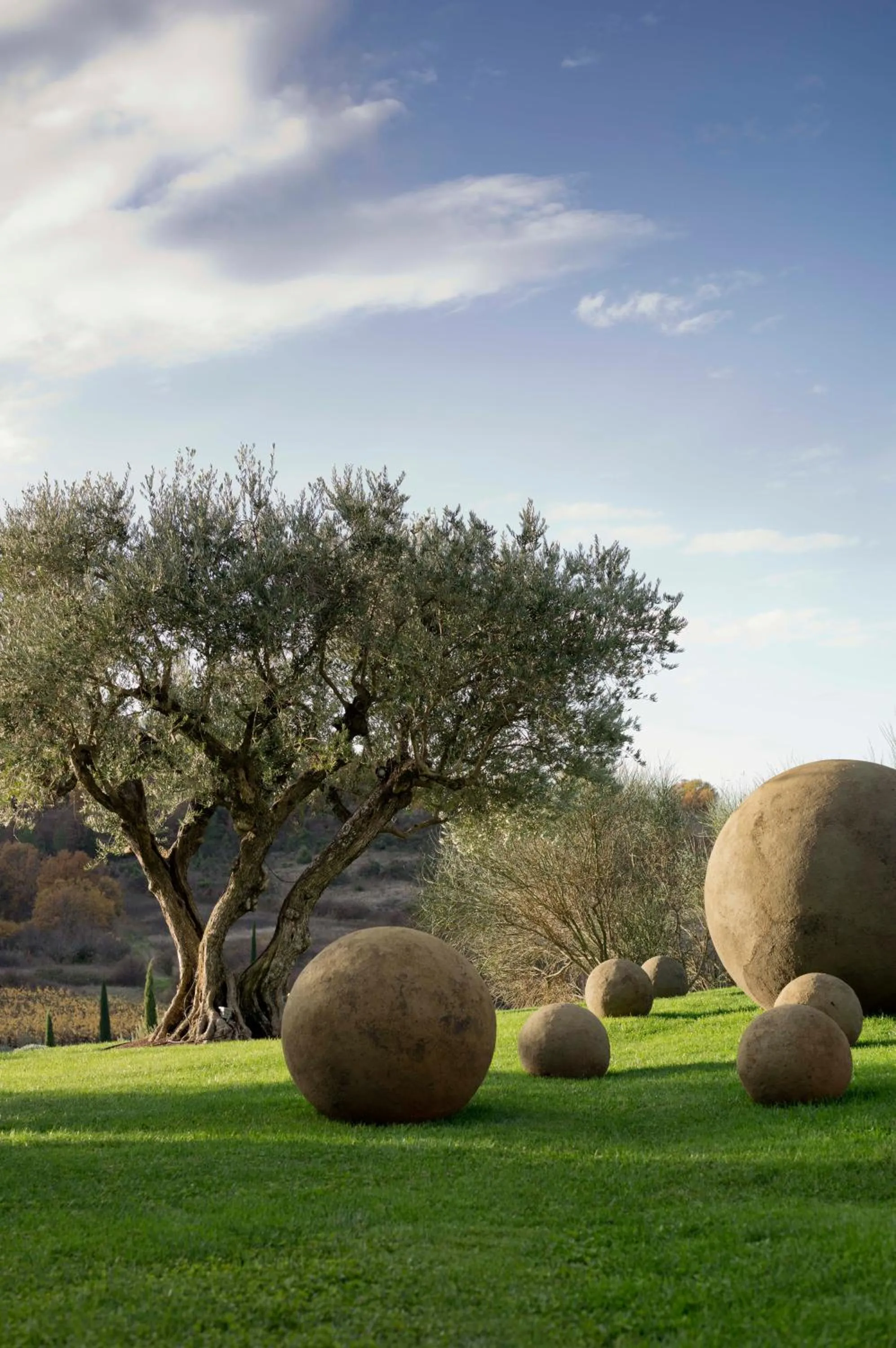 Garden in Domaine des Andéols