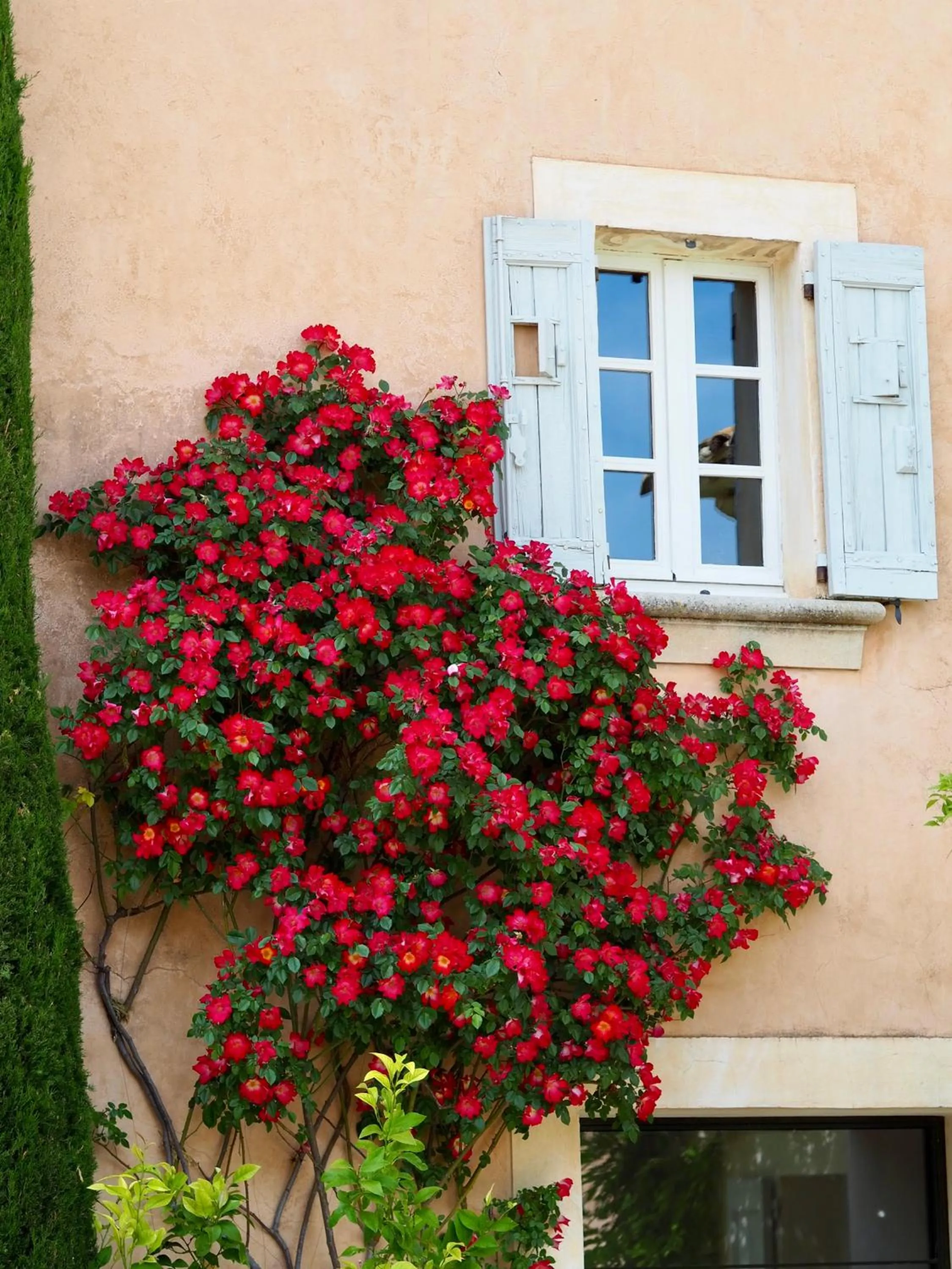 Property building in Domaine des Andéols