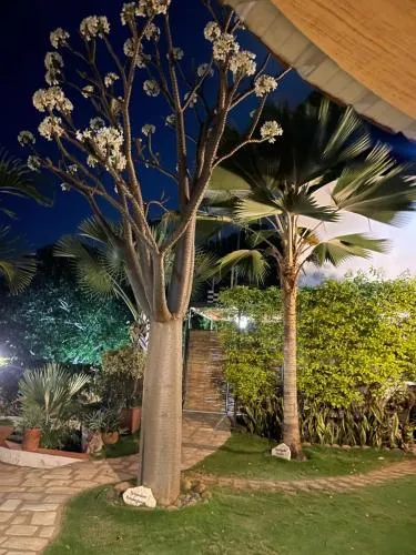 Le Jardin Exotique Hotel