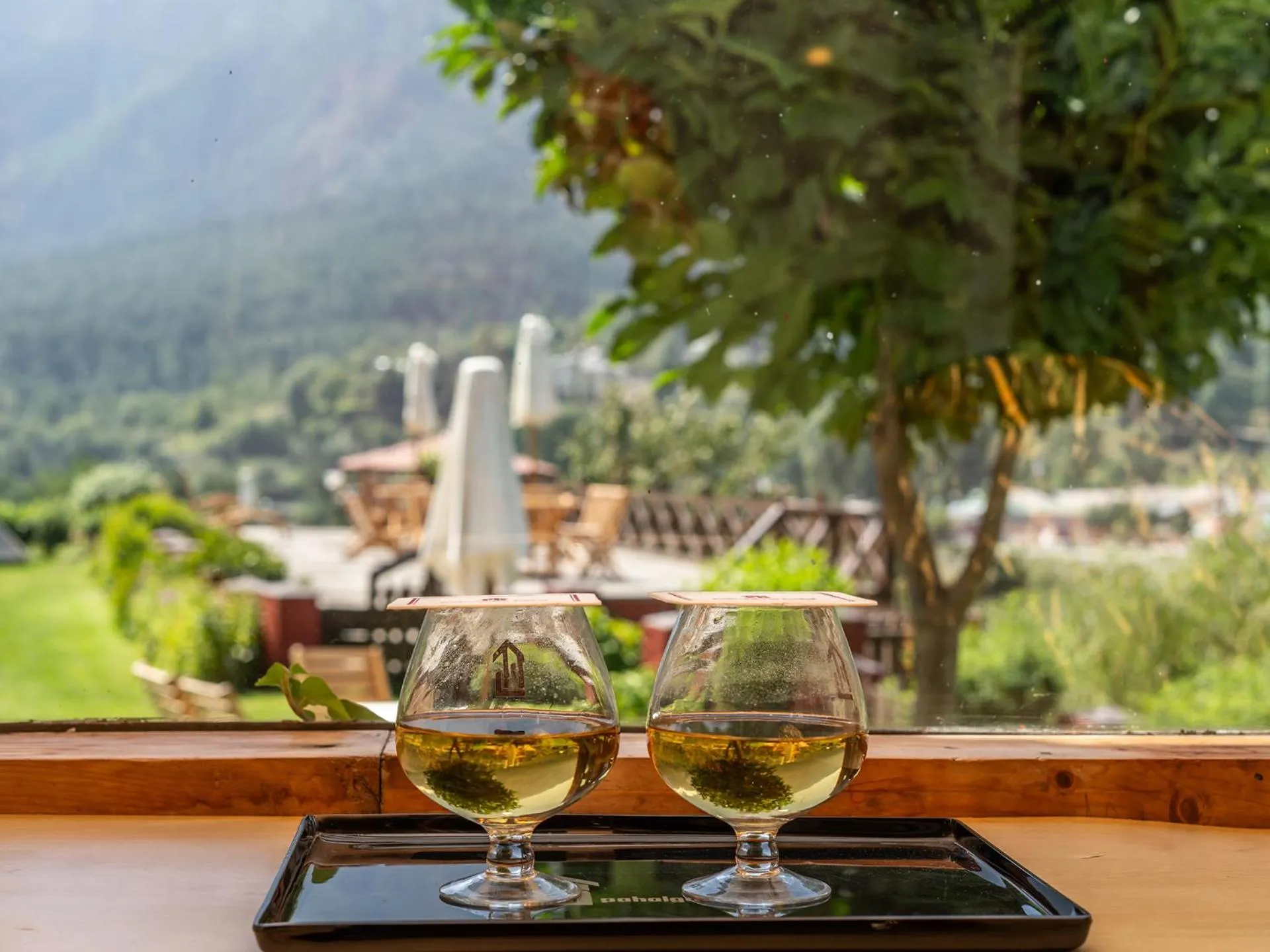 View (from property/room) in Pahalgam Hotel