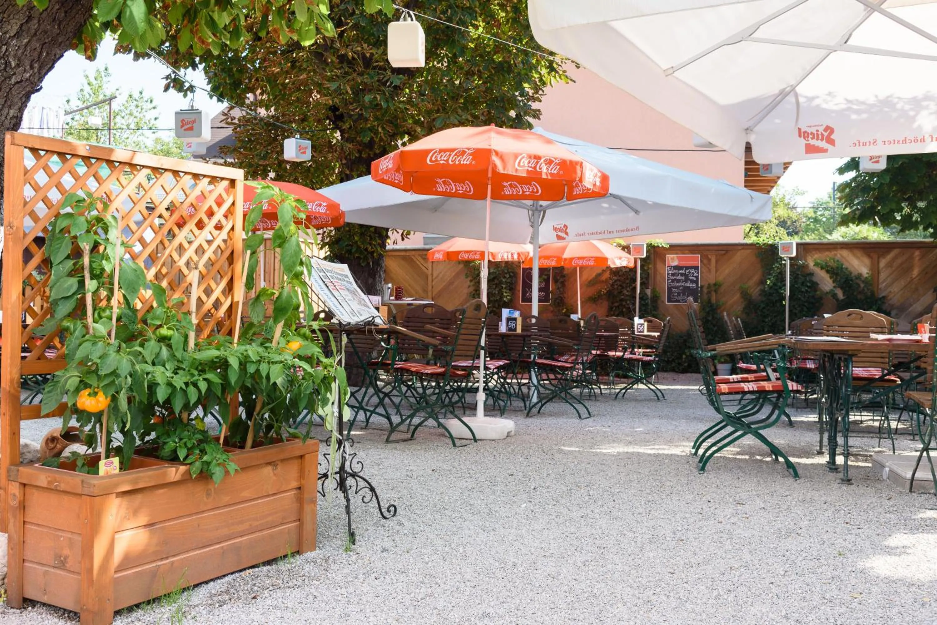 Food and drinks in Gasthof Wastlwirt