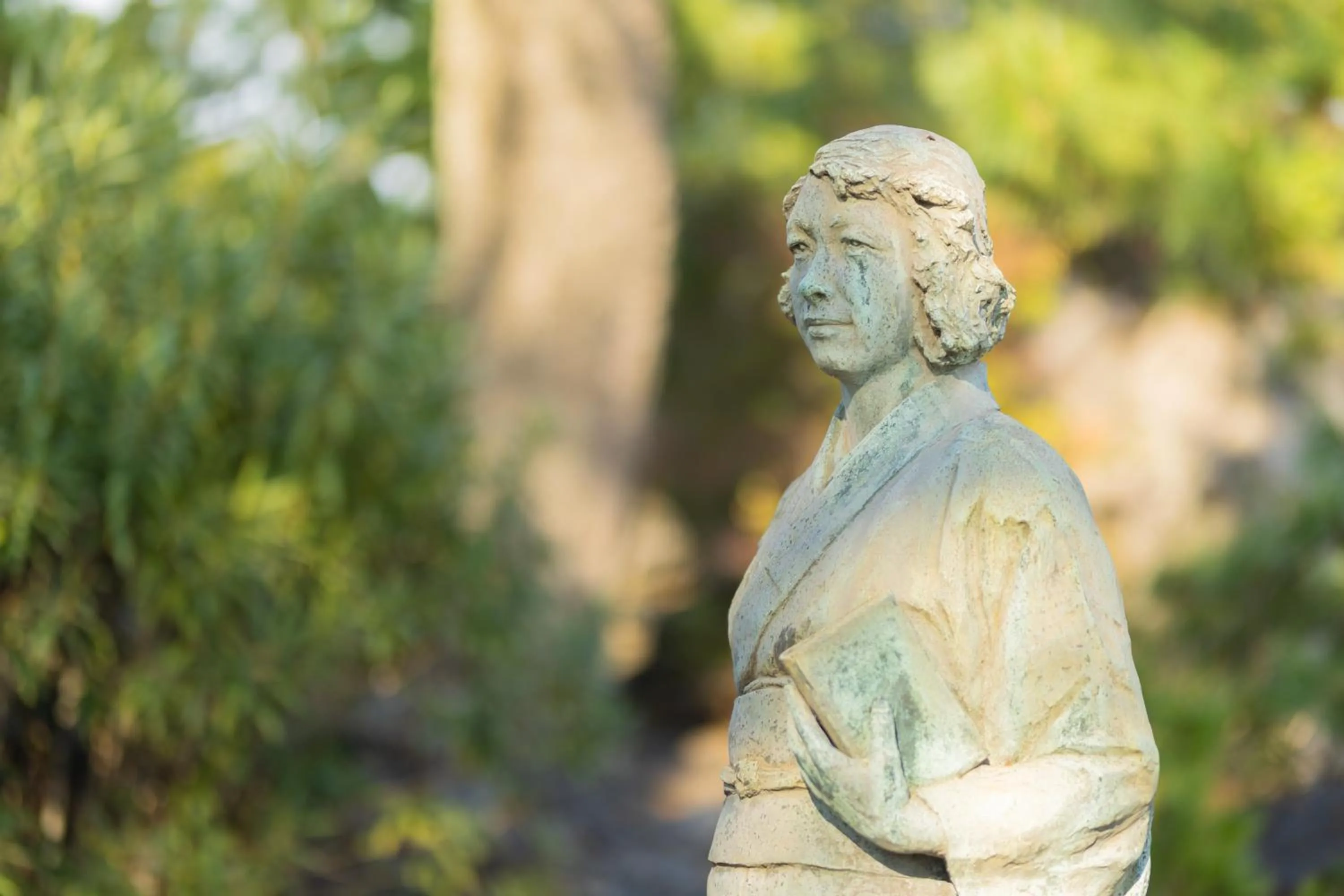 Off site in Sakurajima Seaside Hotel