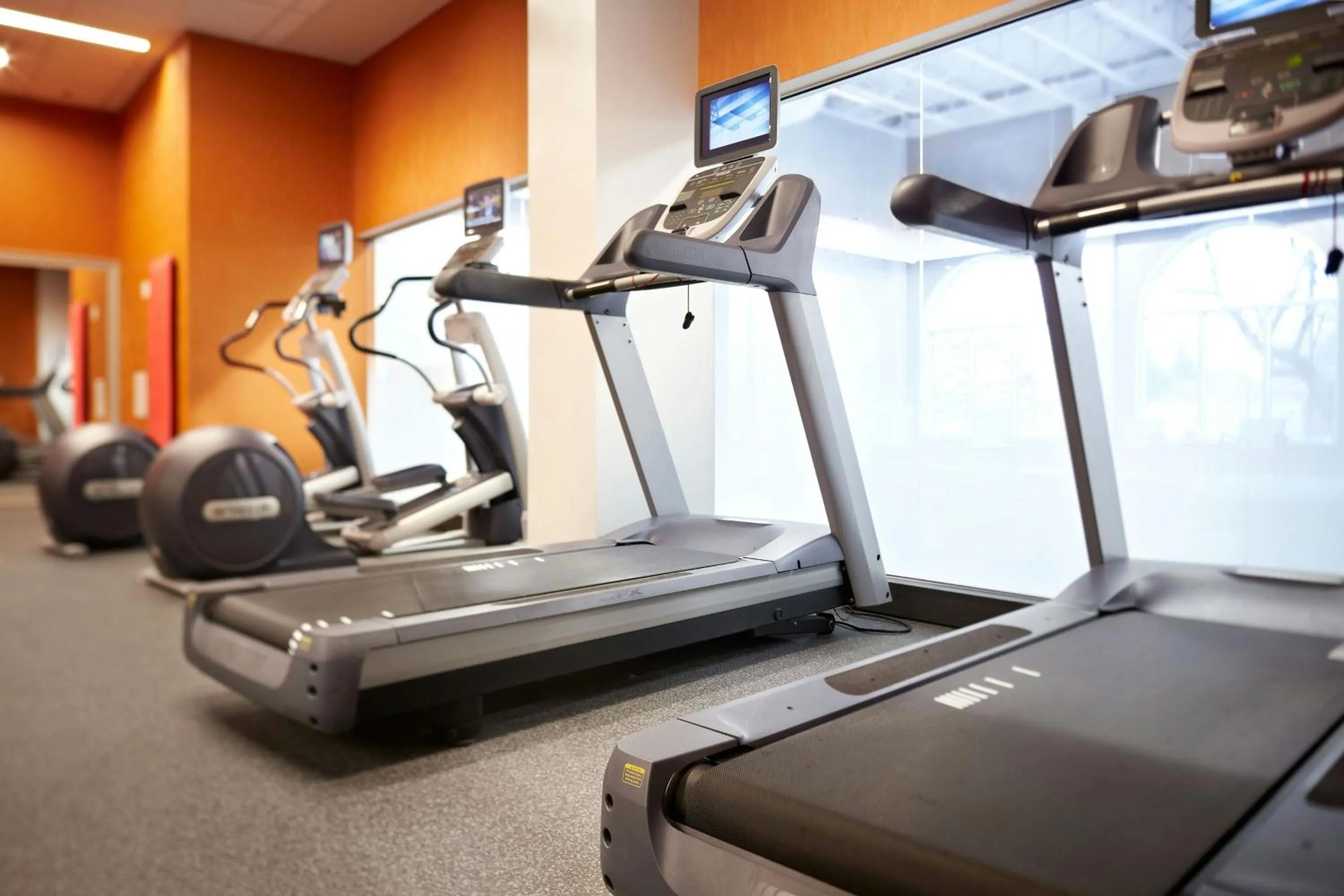 Fitness centre/facilities in Delta Hotels by Marriott Fredericton