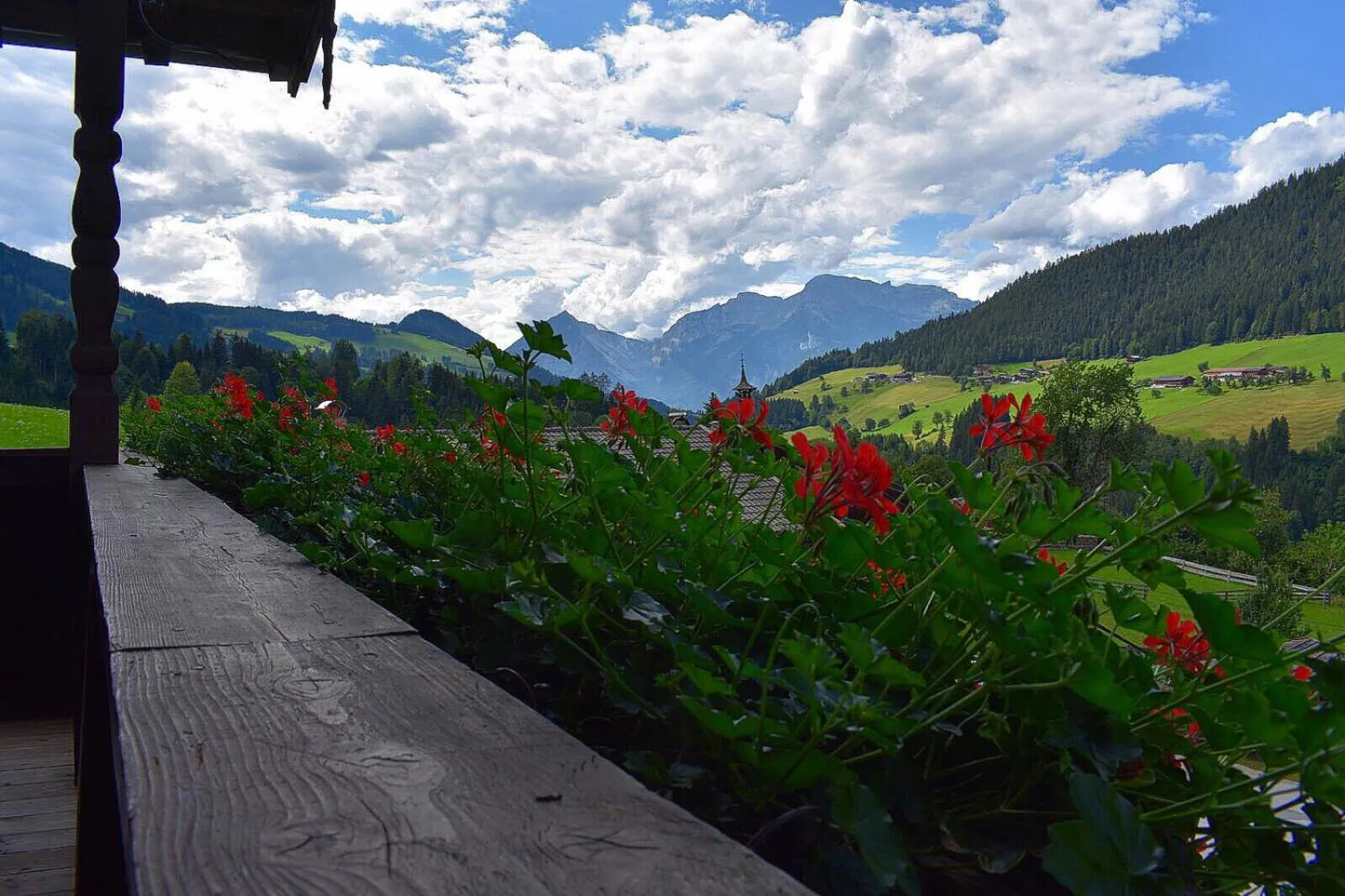 Mountain view in Appartements Kolberhof
