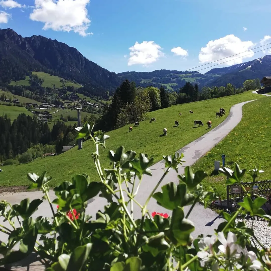 Natural landscape in Appartements Kolberhof
