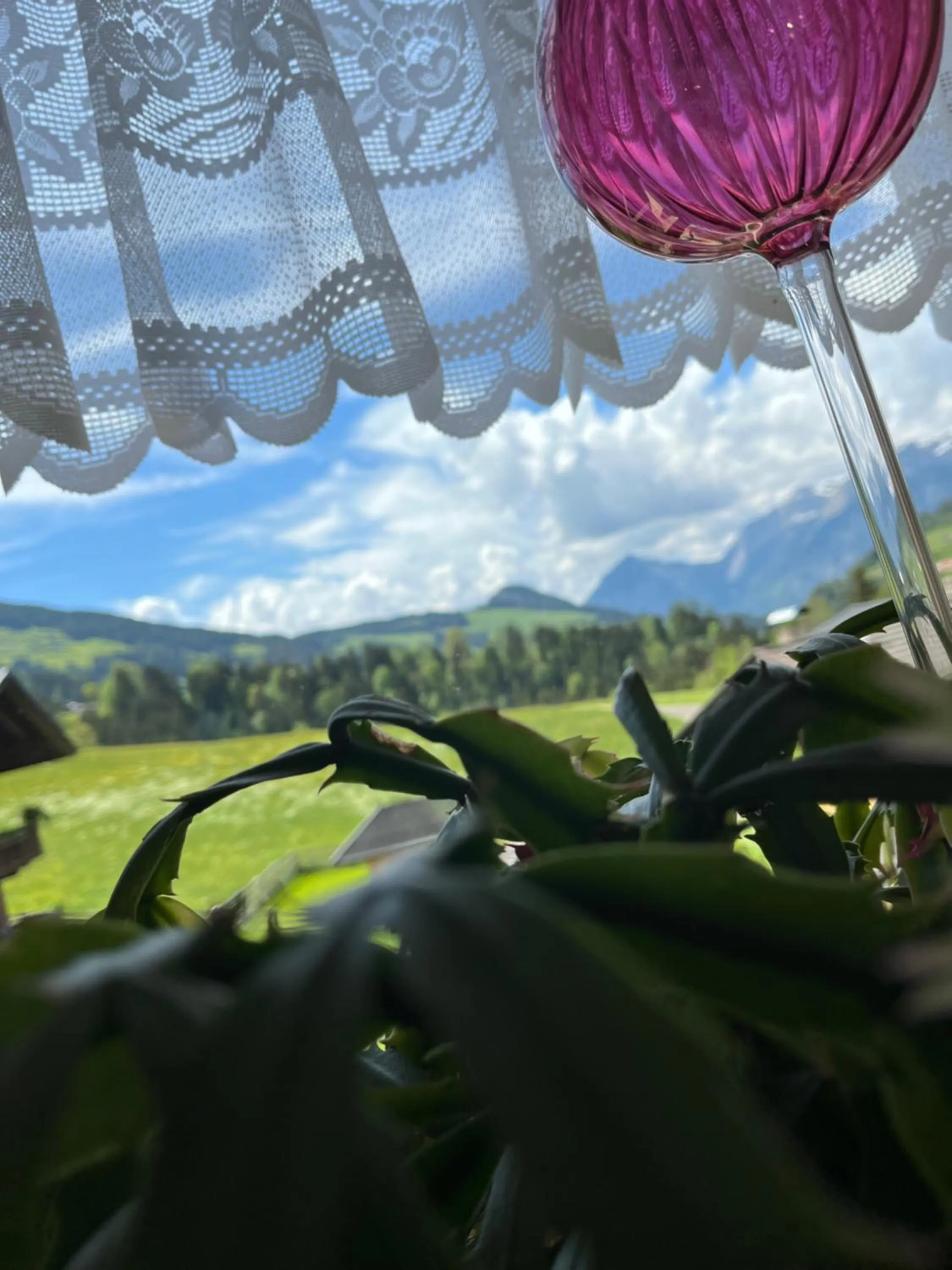 Natural landscape in Appartements Kolberhof