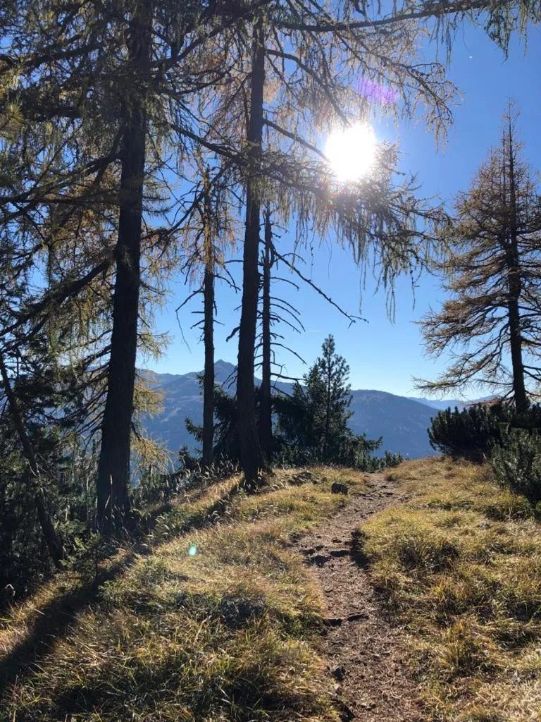Hiking in Appartements Kolberhof