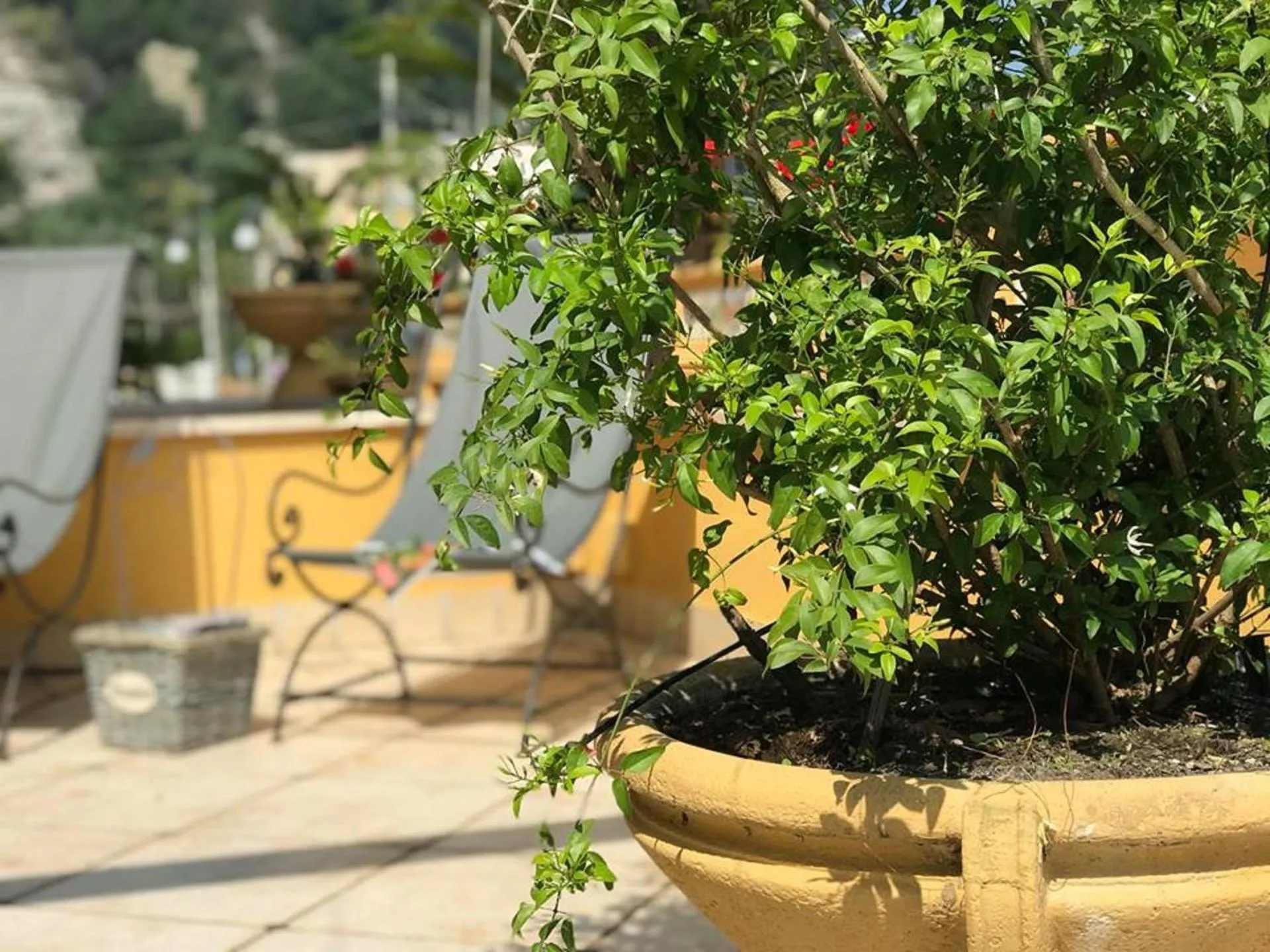 BBQ facilities in B&B Sorrento Central