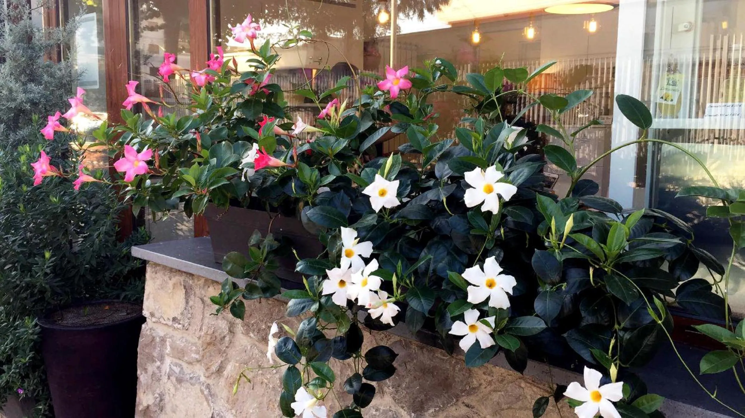 Communal lounge/ TV room in B&B Sorrento Central