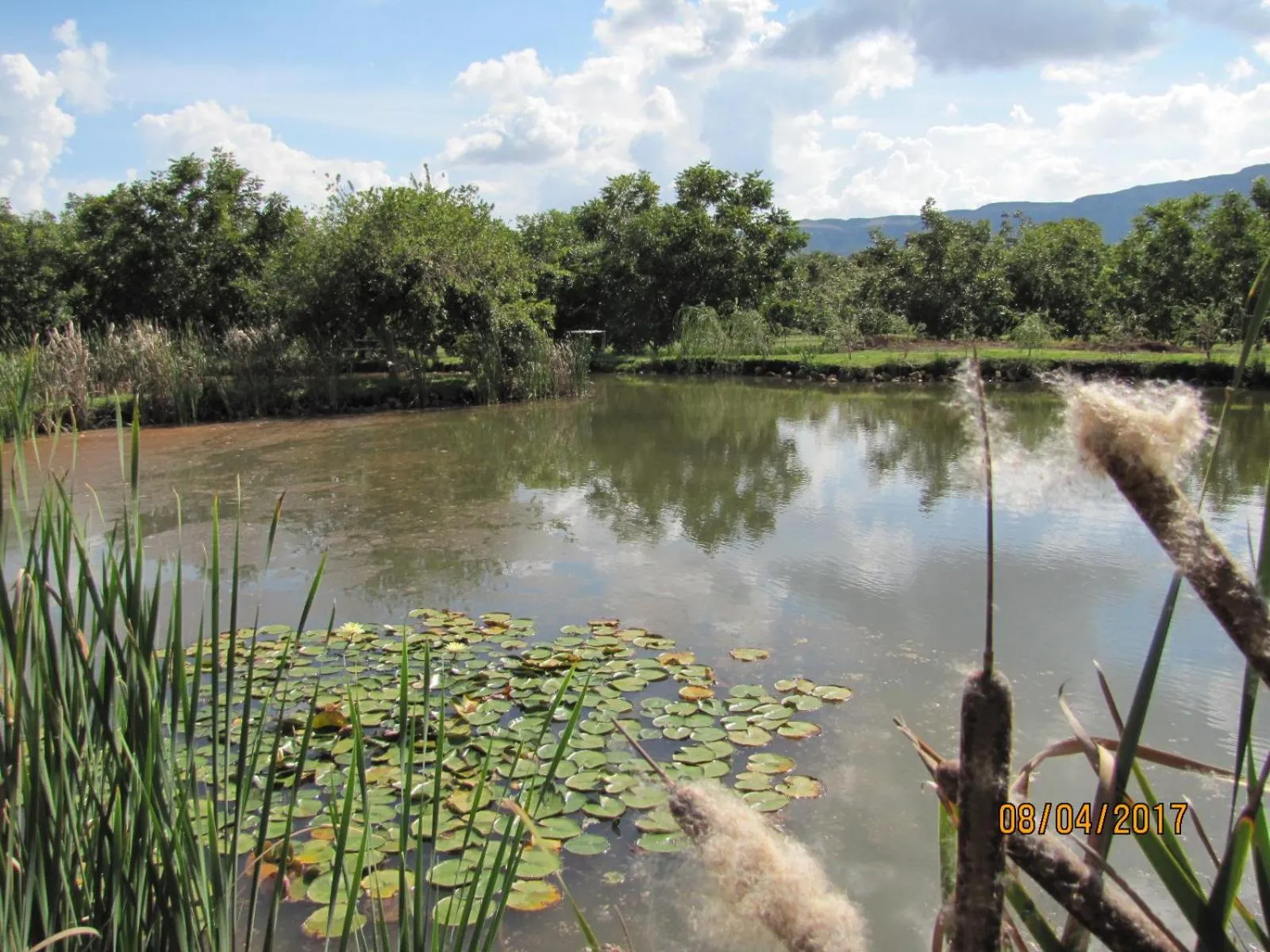 Lake view in Millstream Inn guest house