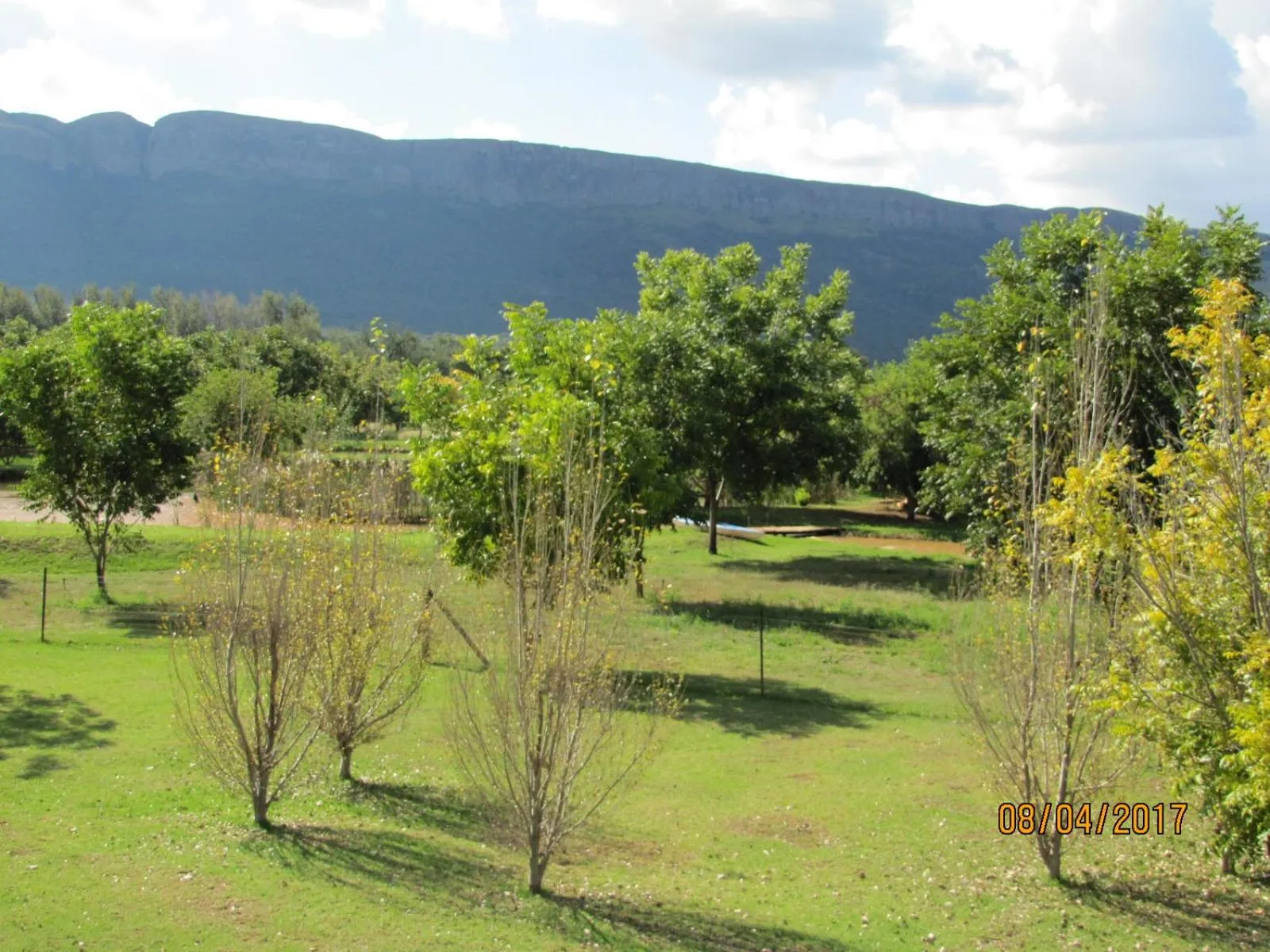 Garden in Millstream Inn guest house