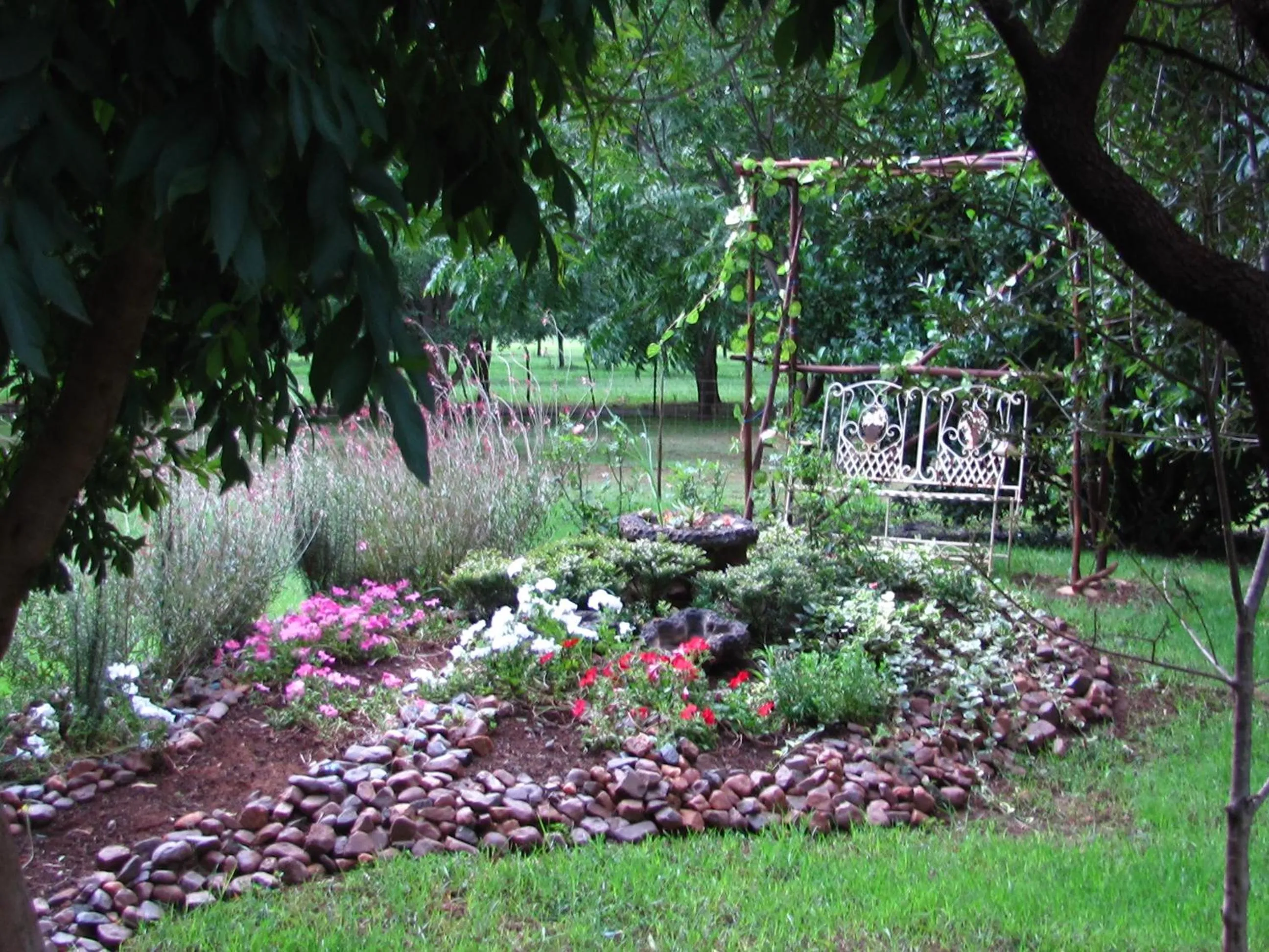 Garden view in Millstream Inn guest house