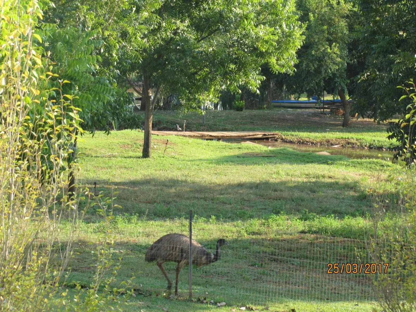 Sports in Millstream Inn guest house