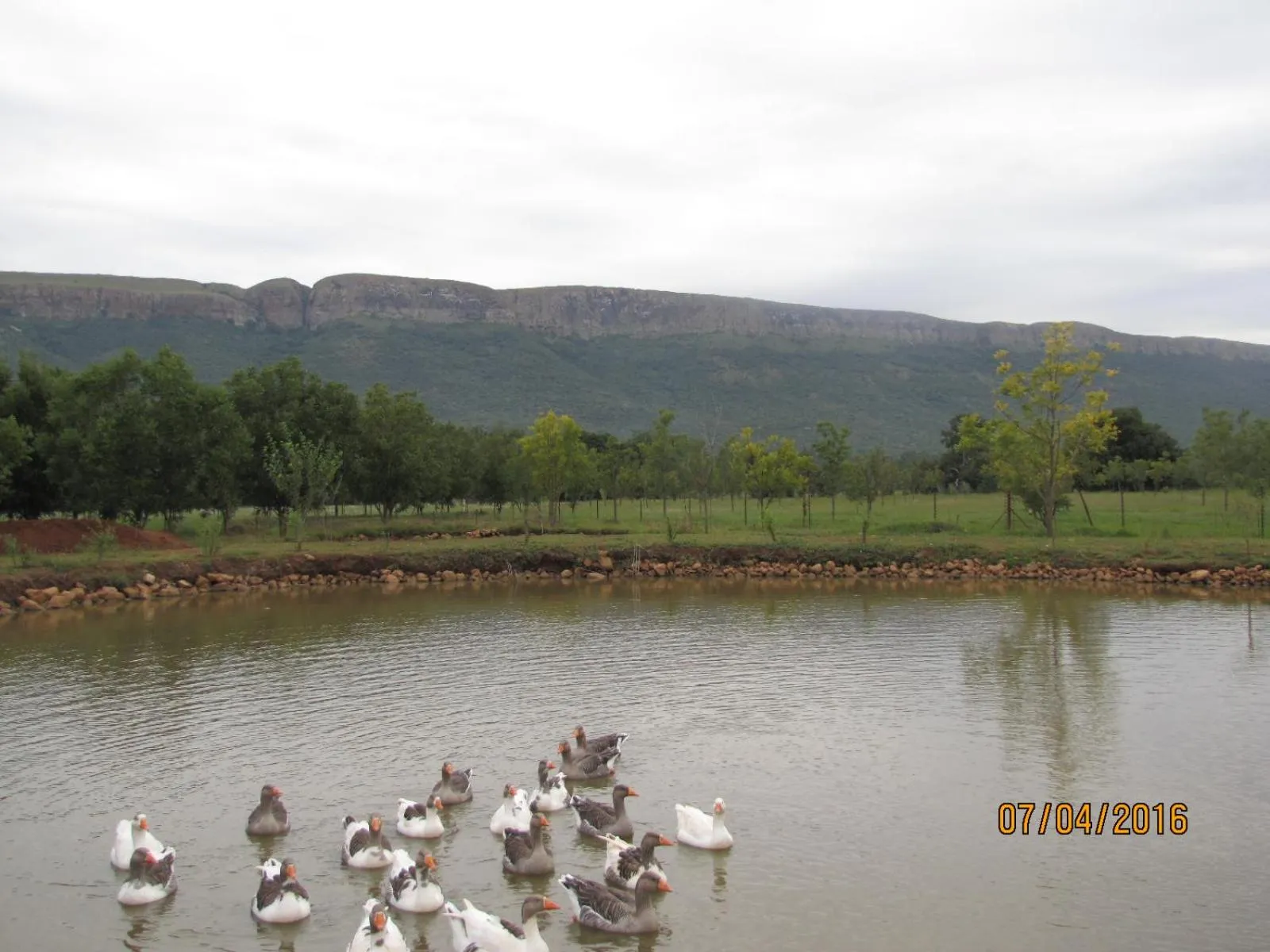 Lake view in Millstream Inn guest house