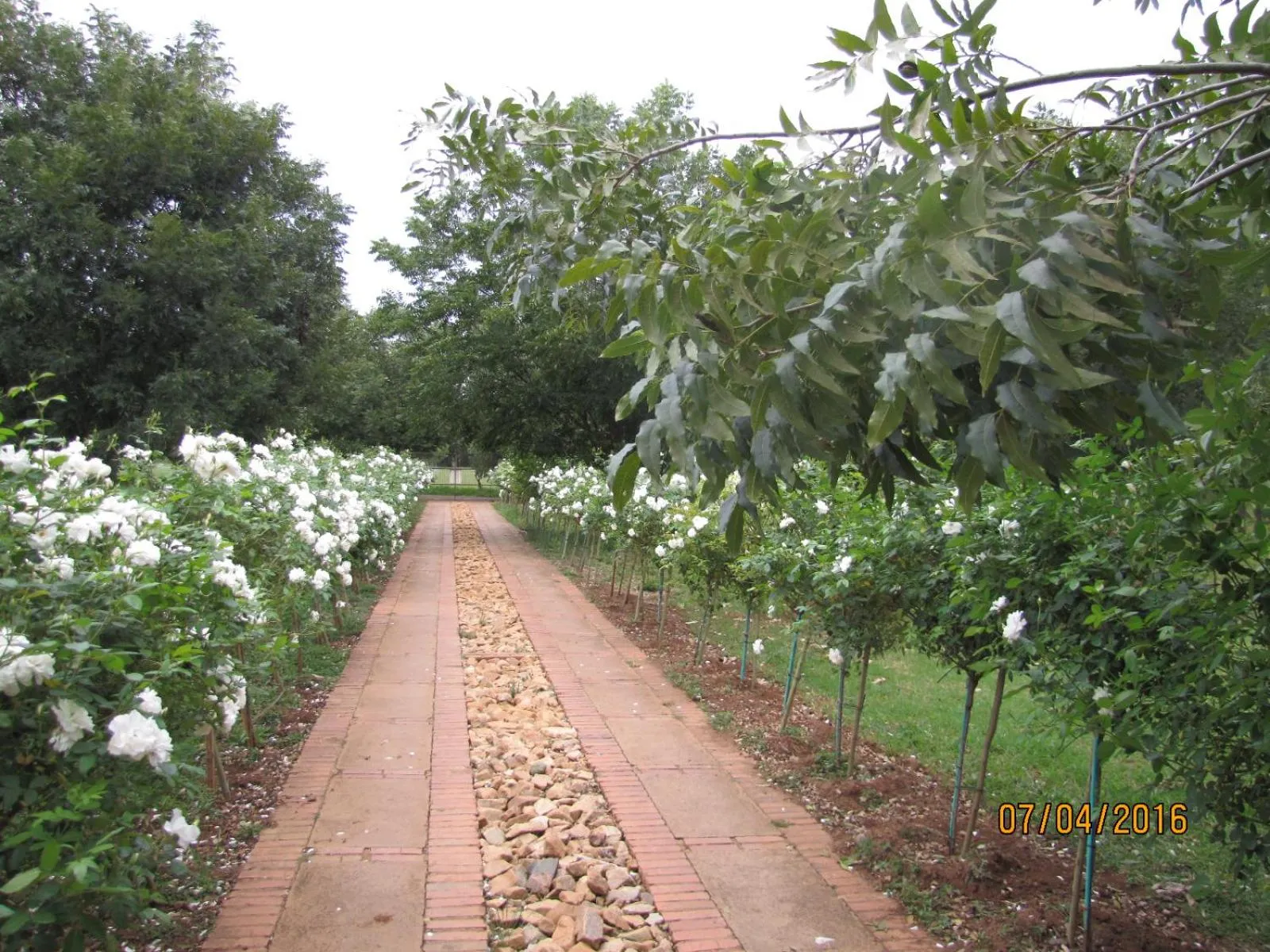 Garden in Millstream Inn guest house