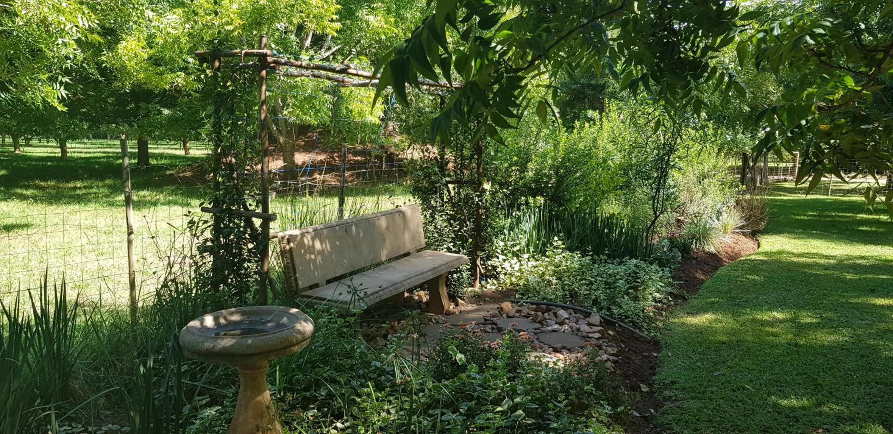 Garden in Millstream Inn guest house