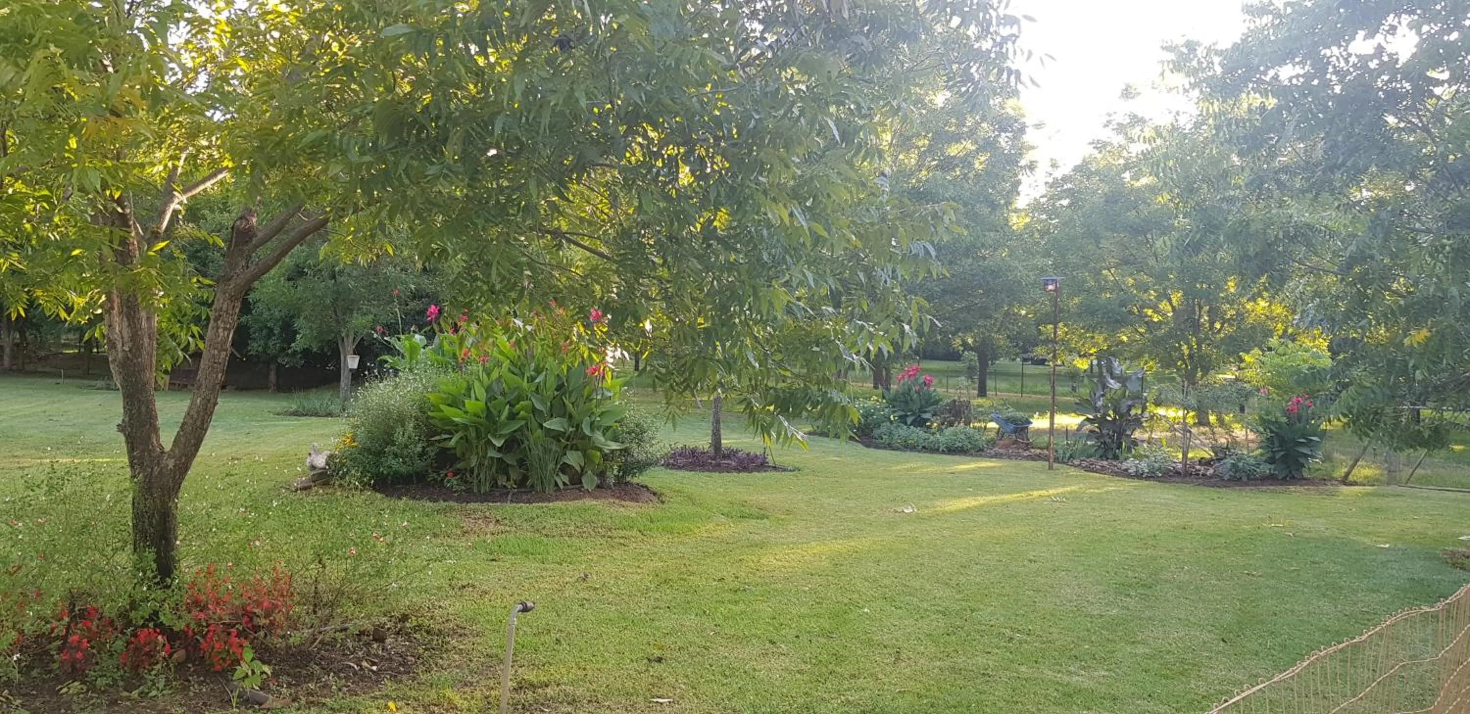 Garden in Millstream Inn guest house