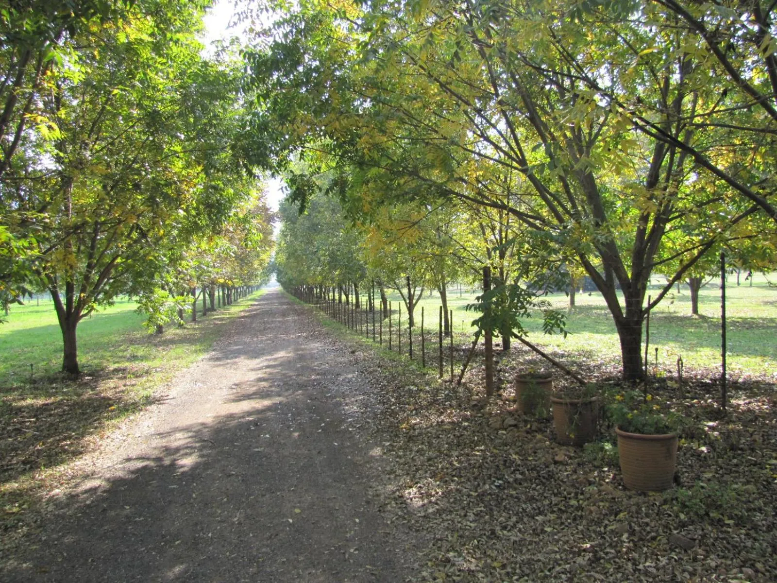 Street view in Millstream Inn guest house