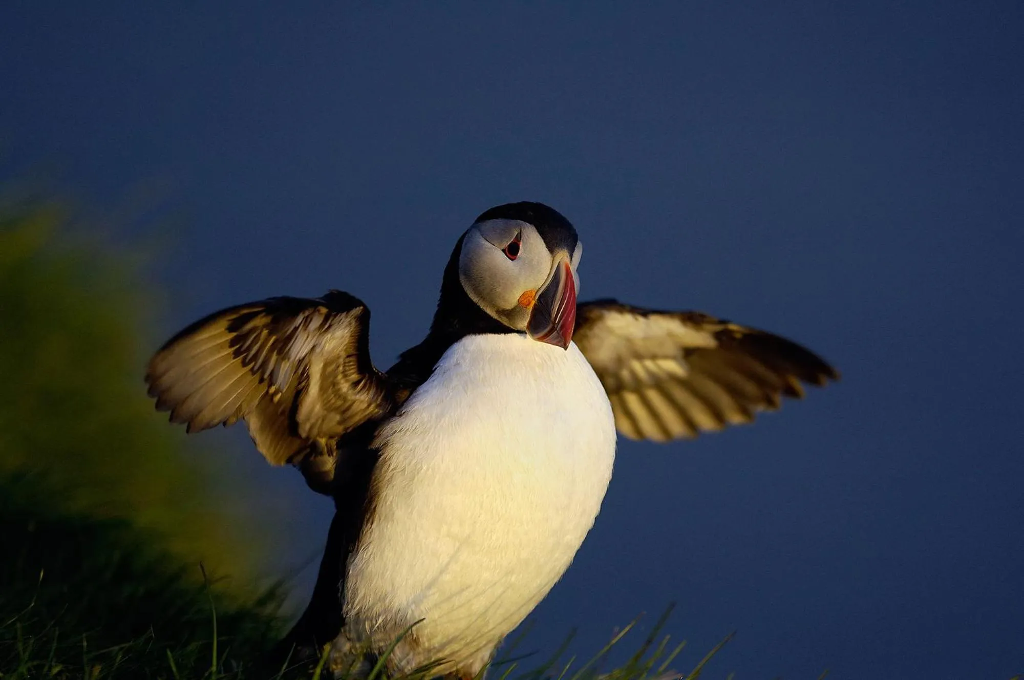 Summer in Hótel Dyrhólaey