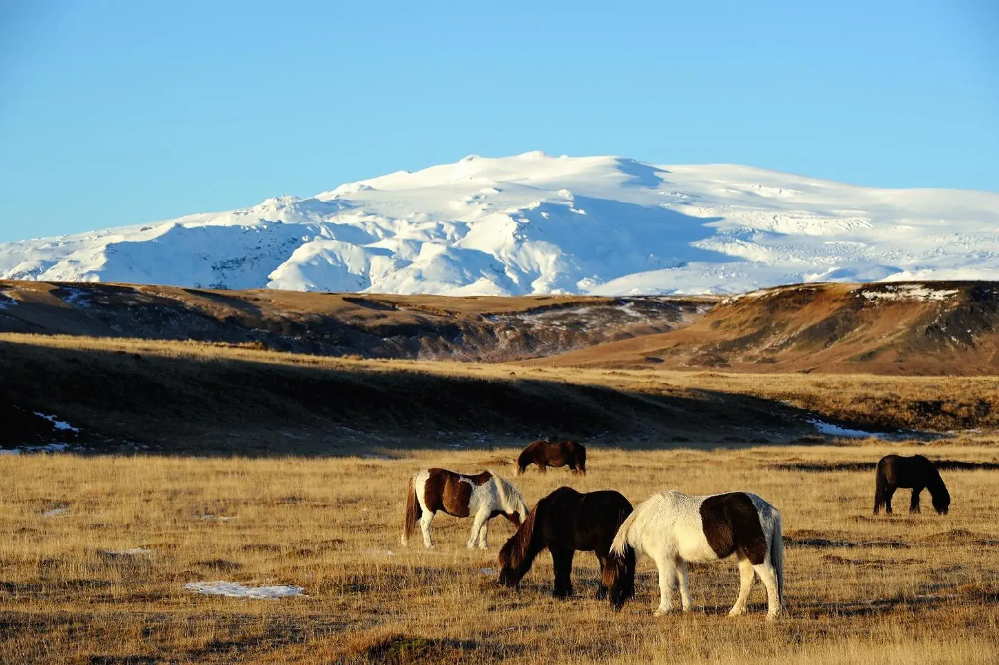 Property building in Hótel Dyrhólaey Property building in Hótel Dyrhólaey