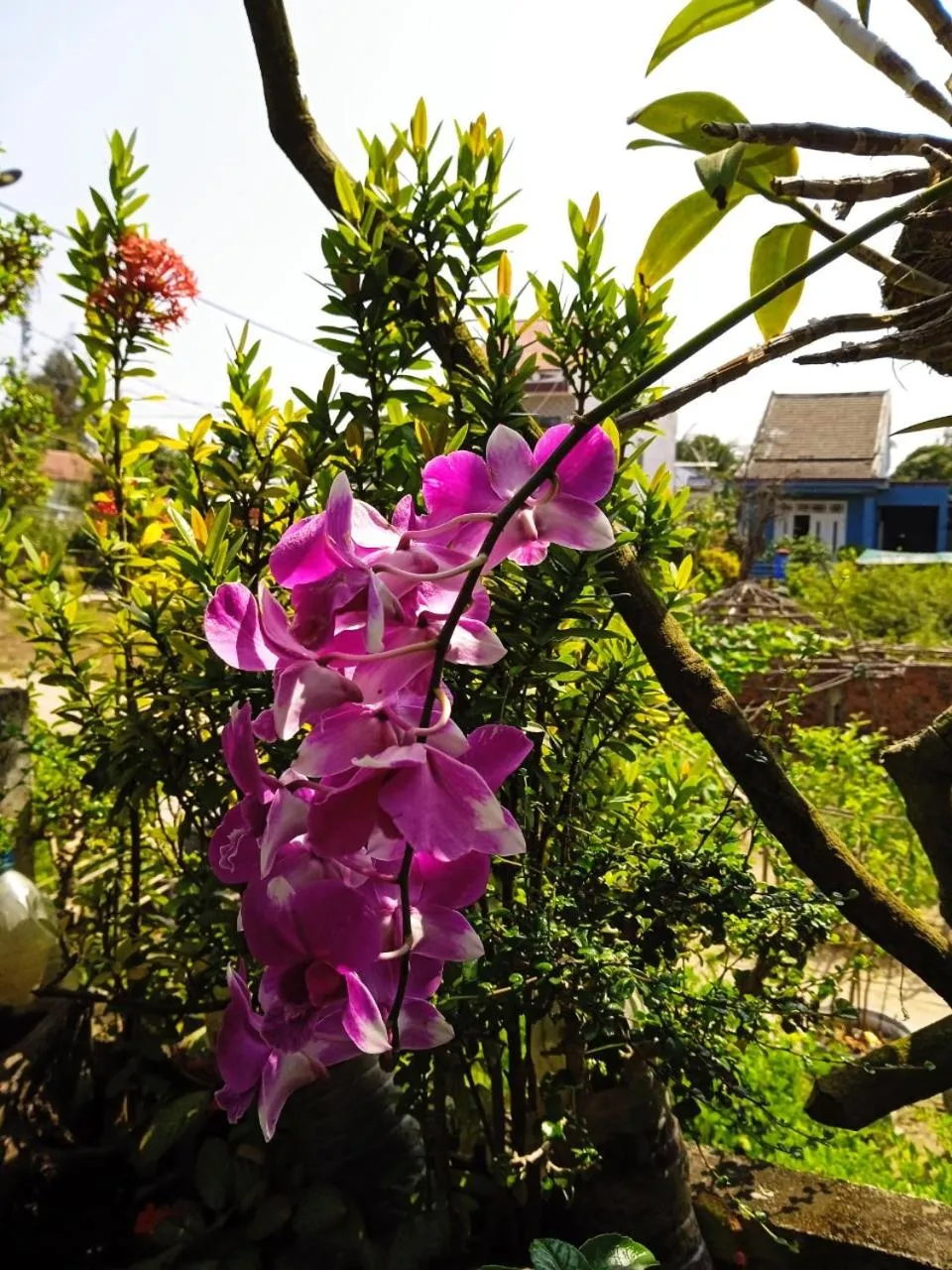 Property building in AnBang Morning Glory Beach Homestay 호이안 안방비치 숙소호텔