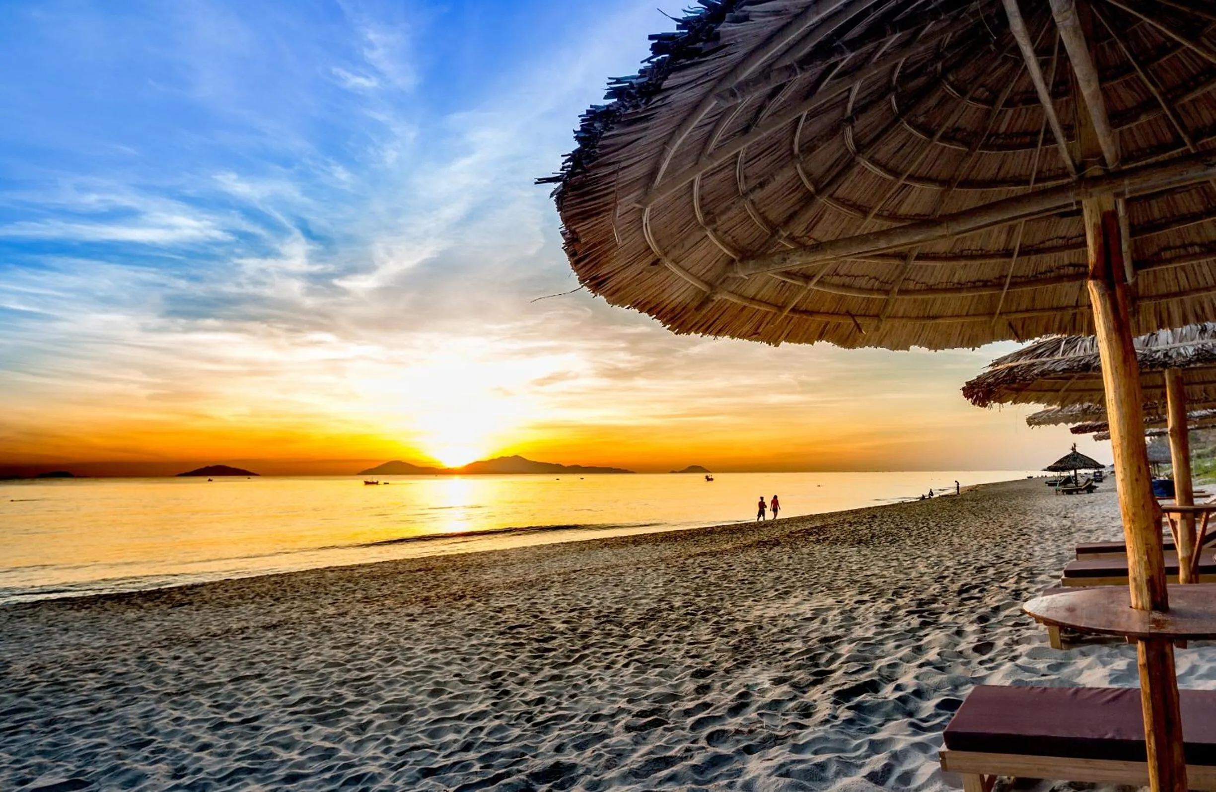 Other in AnBang Morning Glory Beach Homestay 호이안 안방비치 숙소호텔