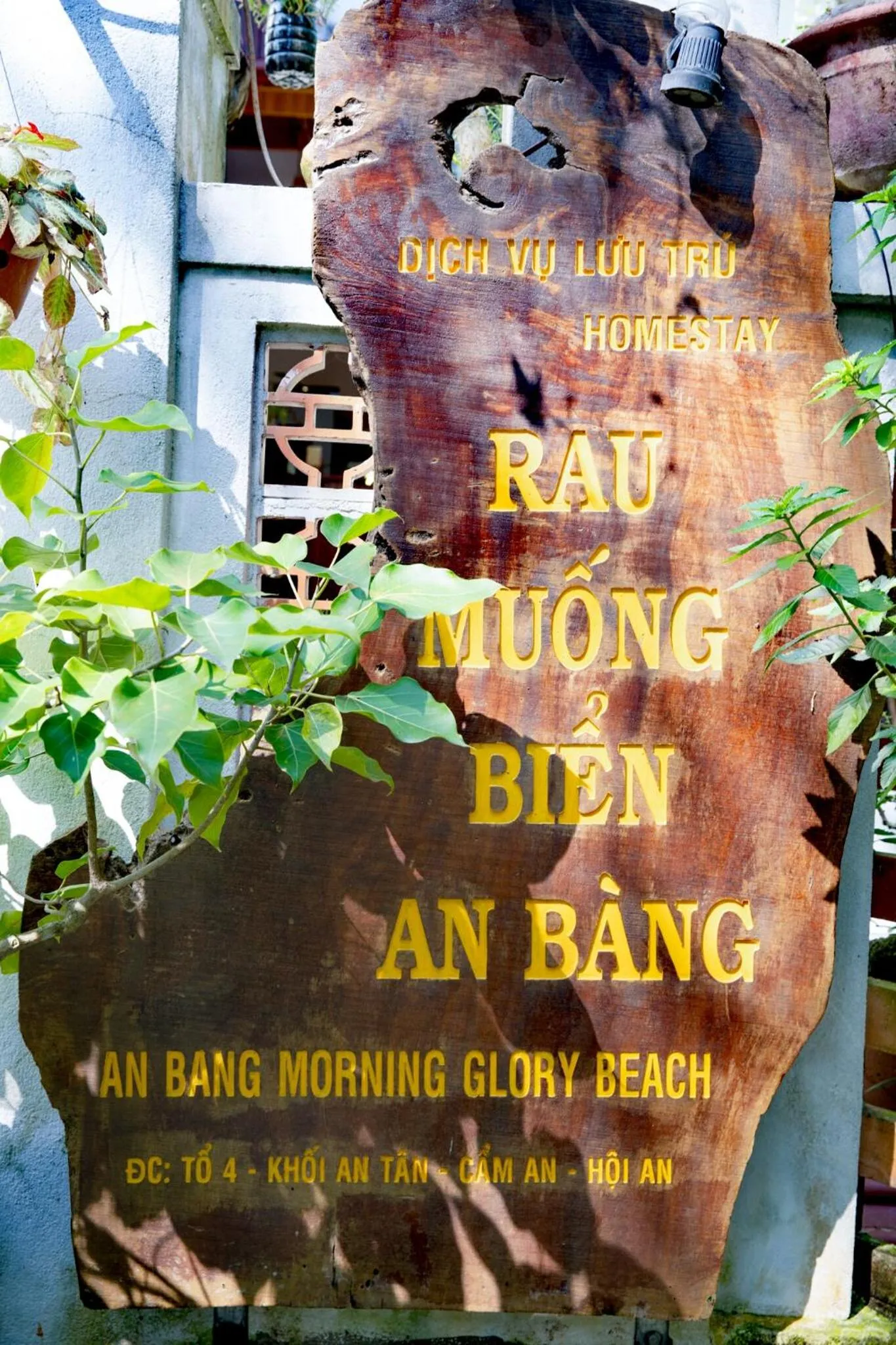 Property logo or sign in AnBang Morning Glory Beach Homestay 호이안 안방비치 숙소호텔