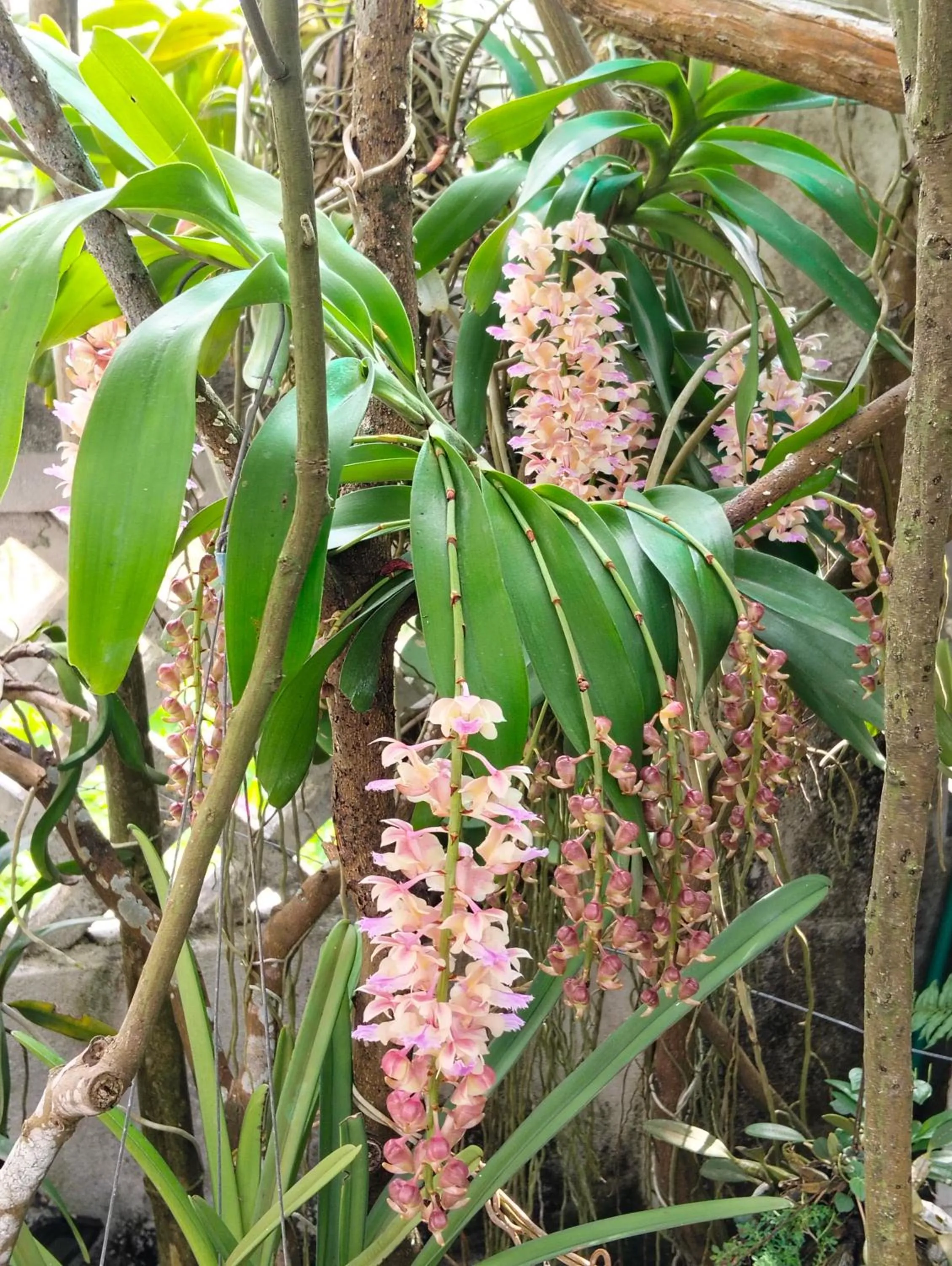 Property building in AnBang Morning Glory Beach Homestay 호이안 안방비치 숙소호텔